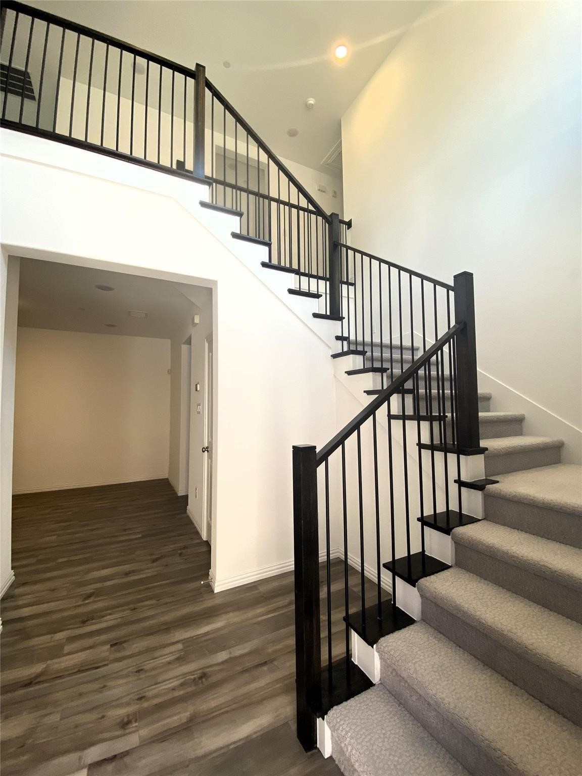 Entry hall with a carpeted staircase, black railings, and wood-look flooring.