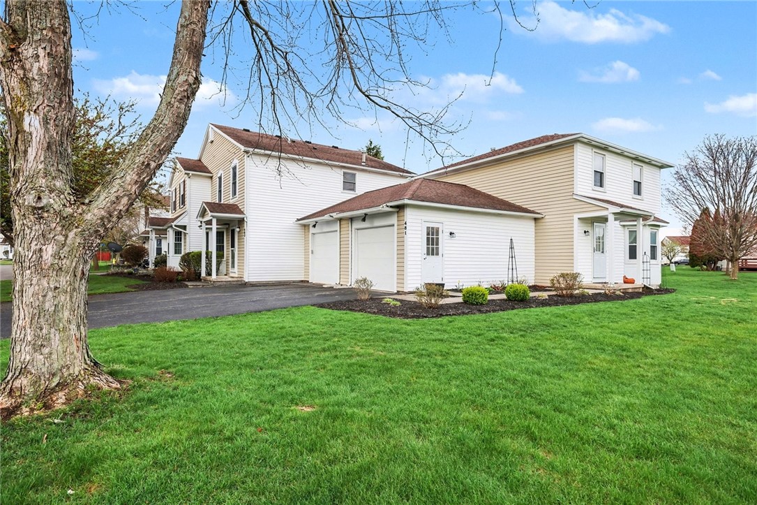 481 Nadine Dr