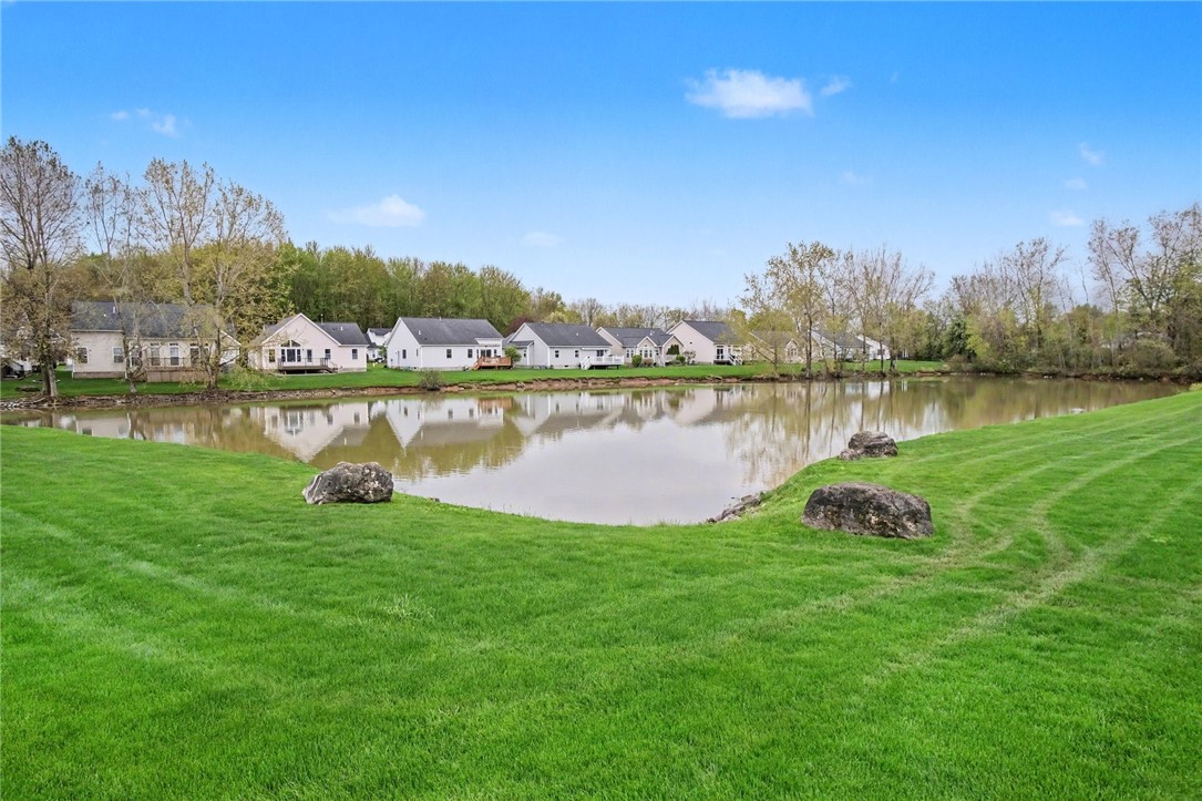 12 Foxtail Ln