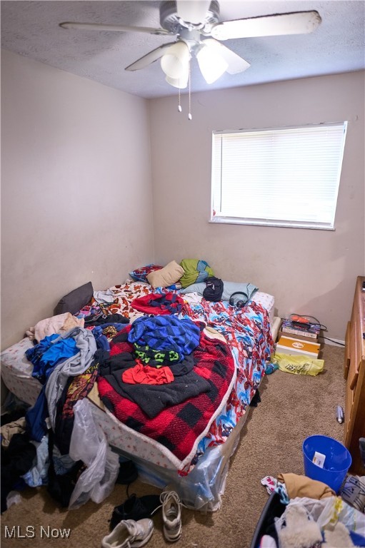 11213 McCracken Road