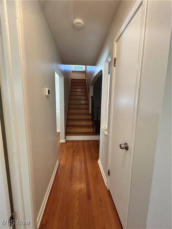 20739 Donny Brook Road