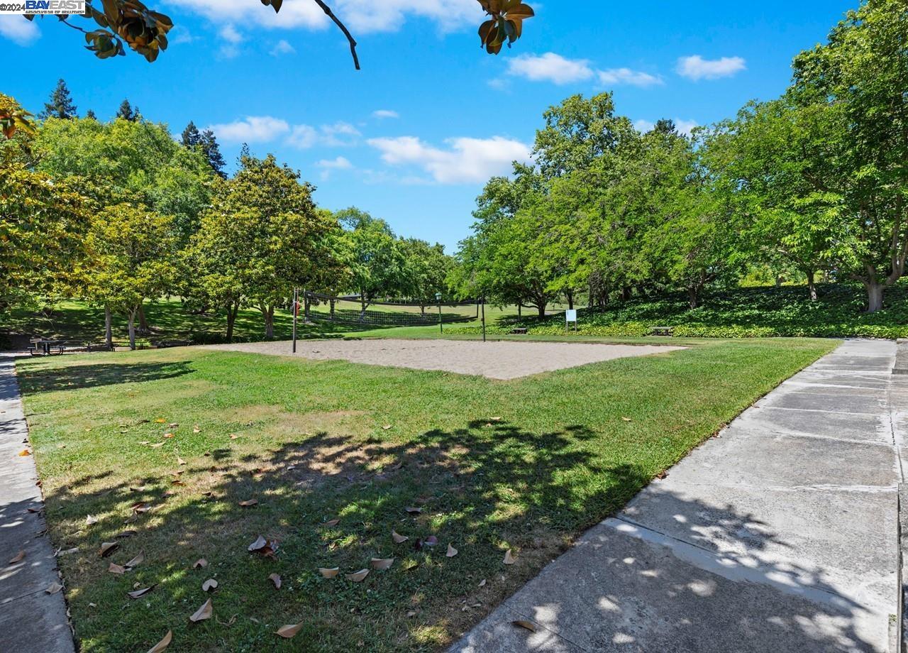 405 Old Orchard Ct