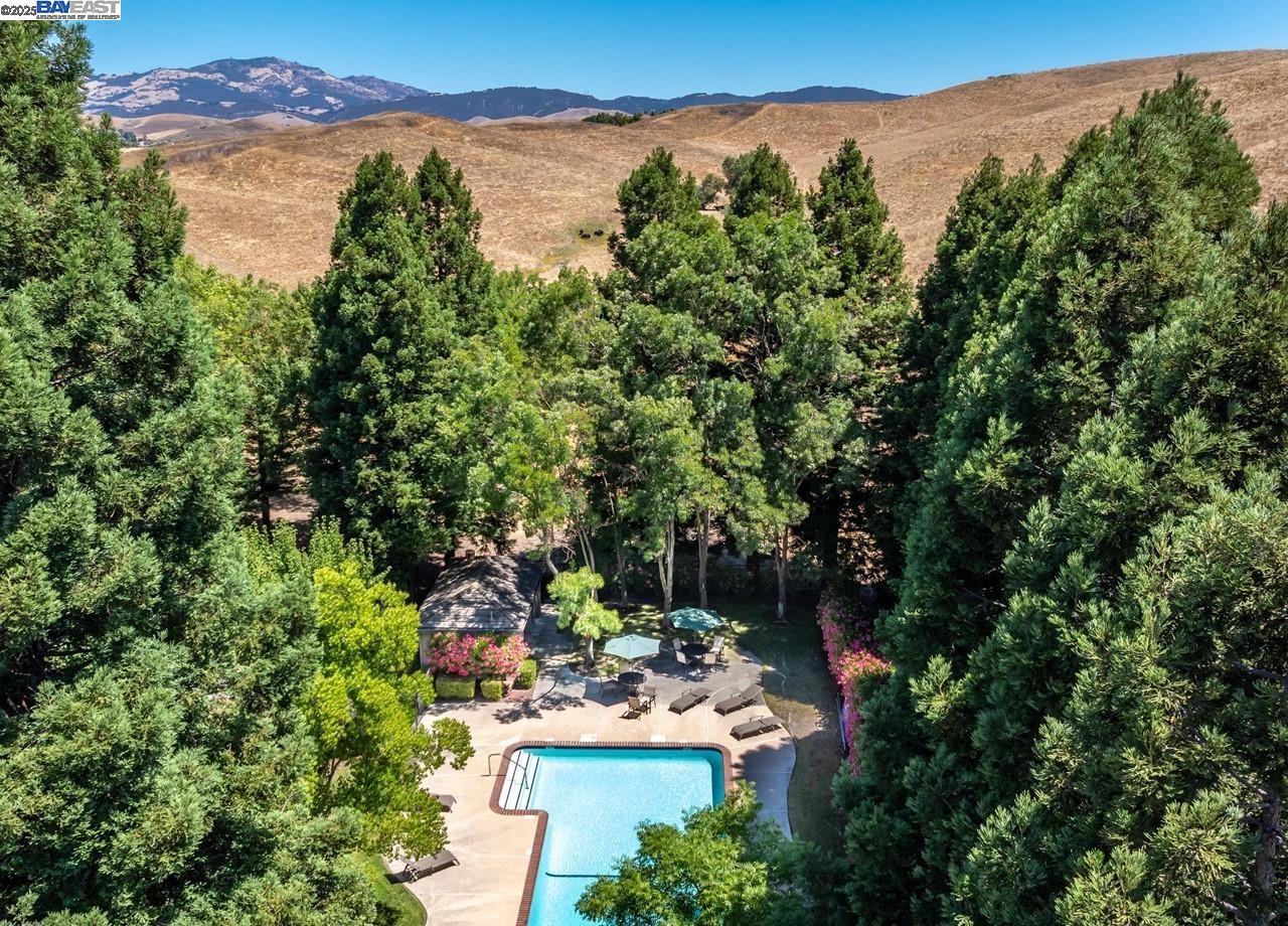 1375 Canyon Side Ave