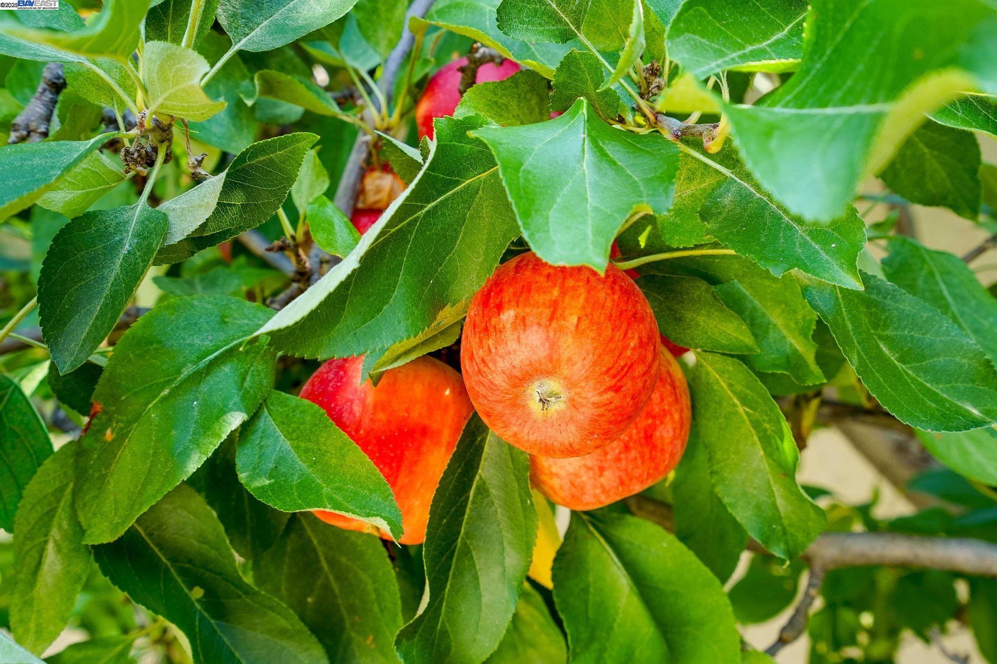 3104 sombrero circle