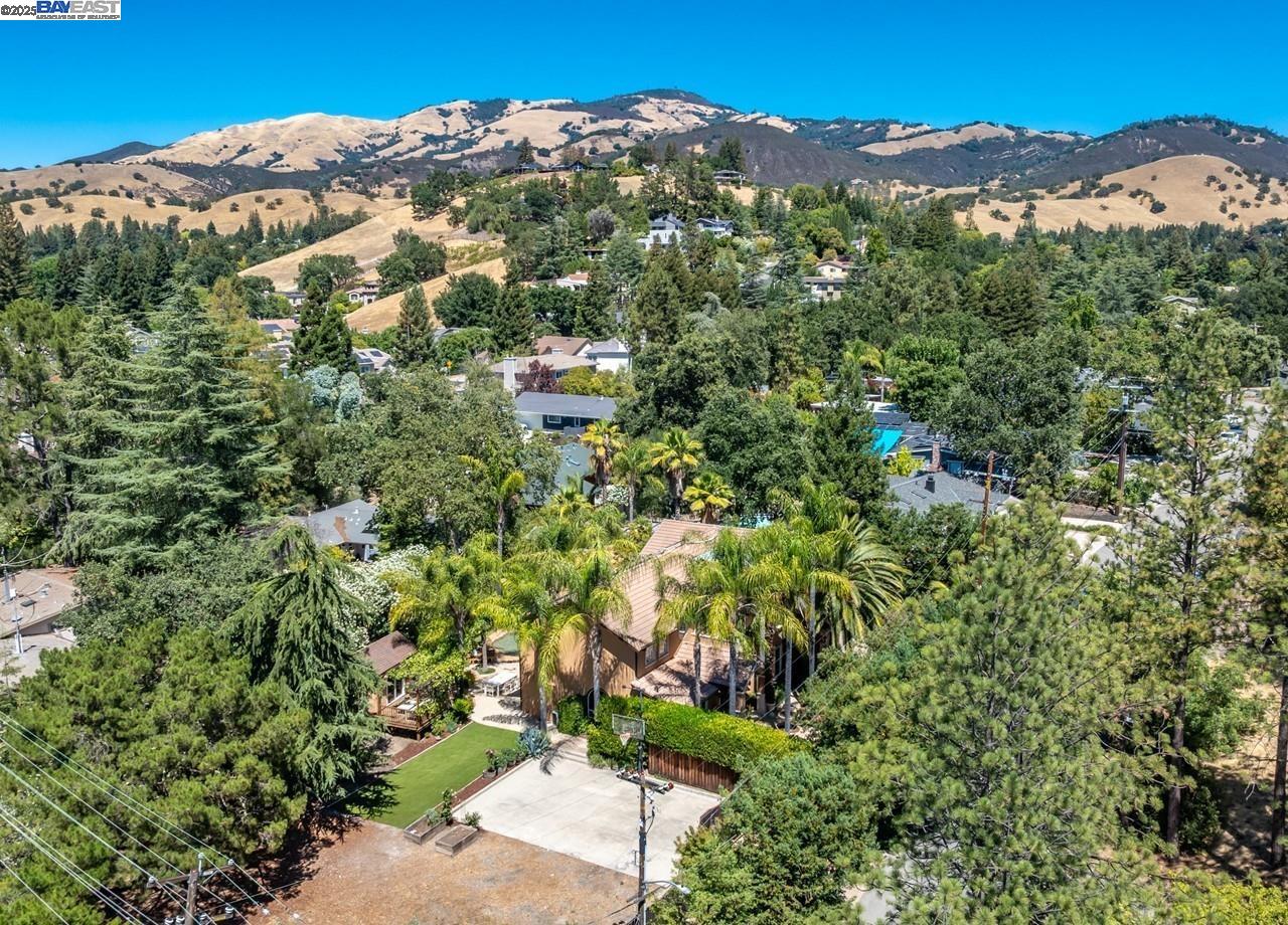 107 Verde Mesa Dr