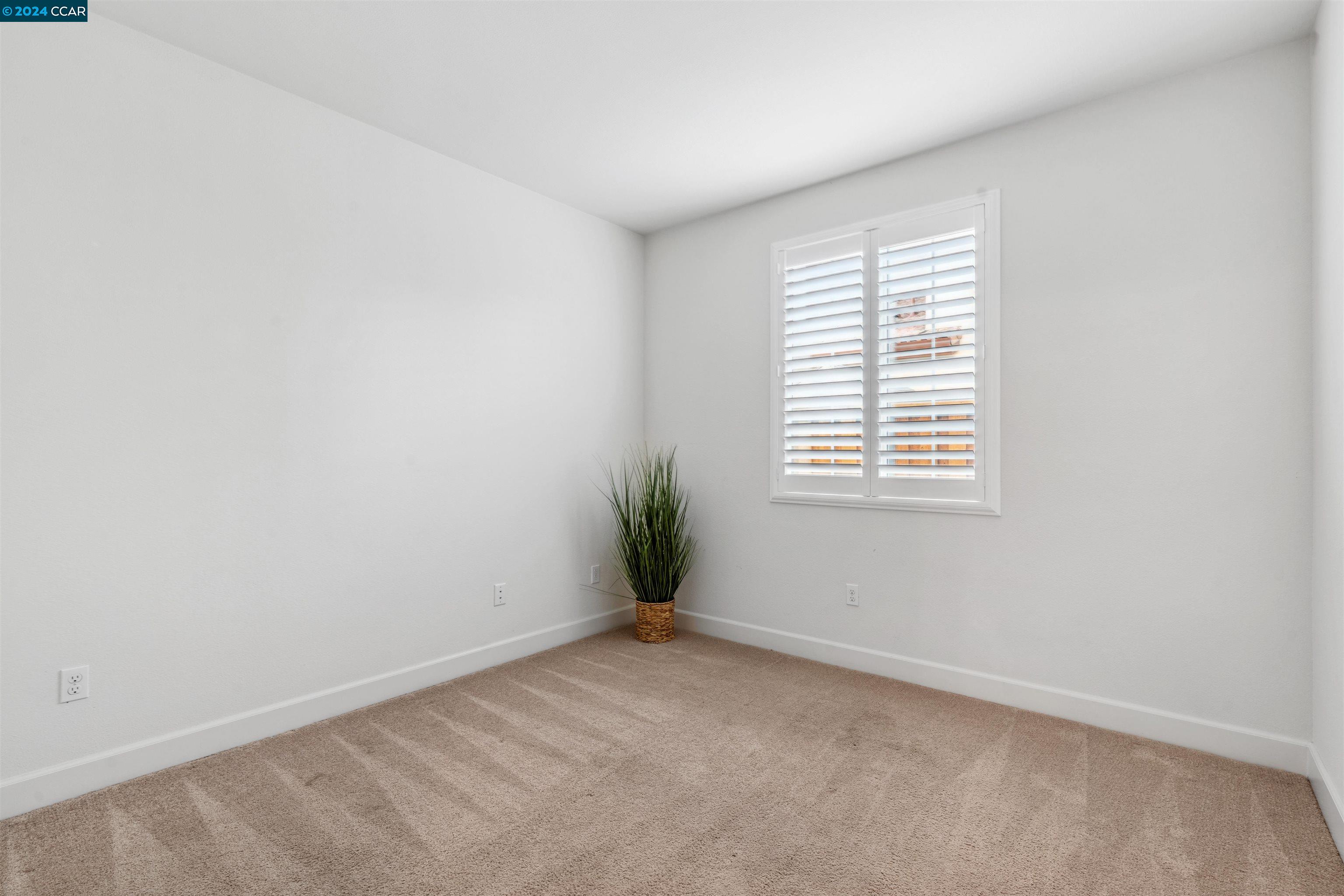 577 Eileen St