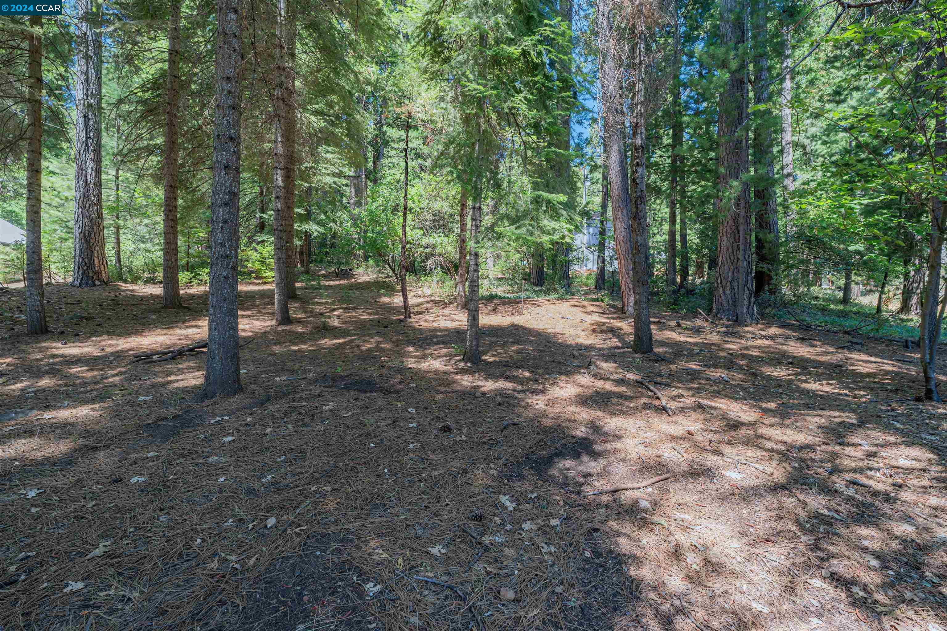 2700 Pine Dr