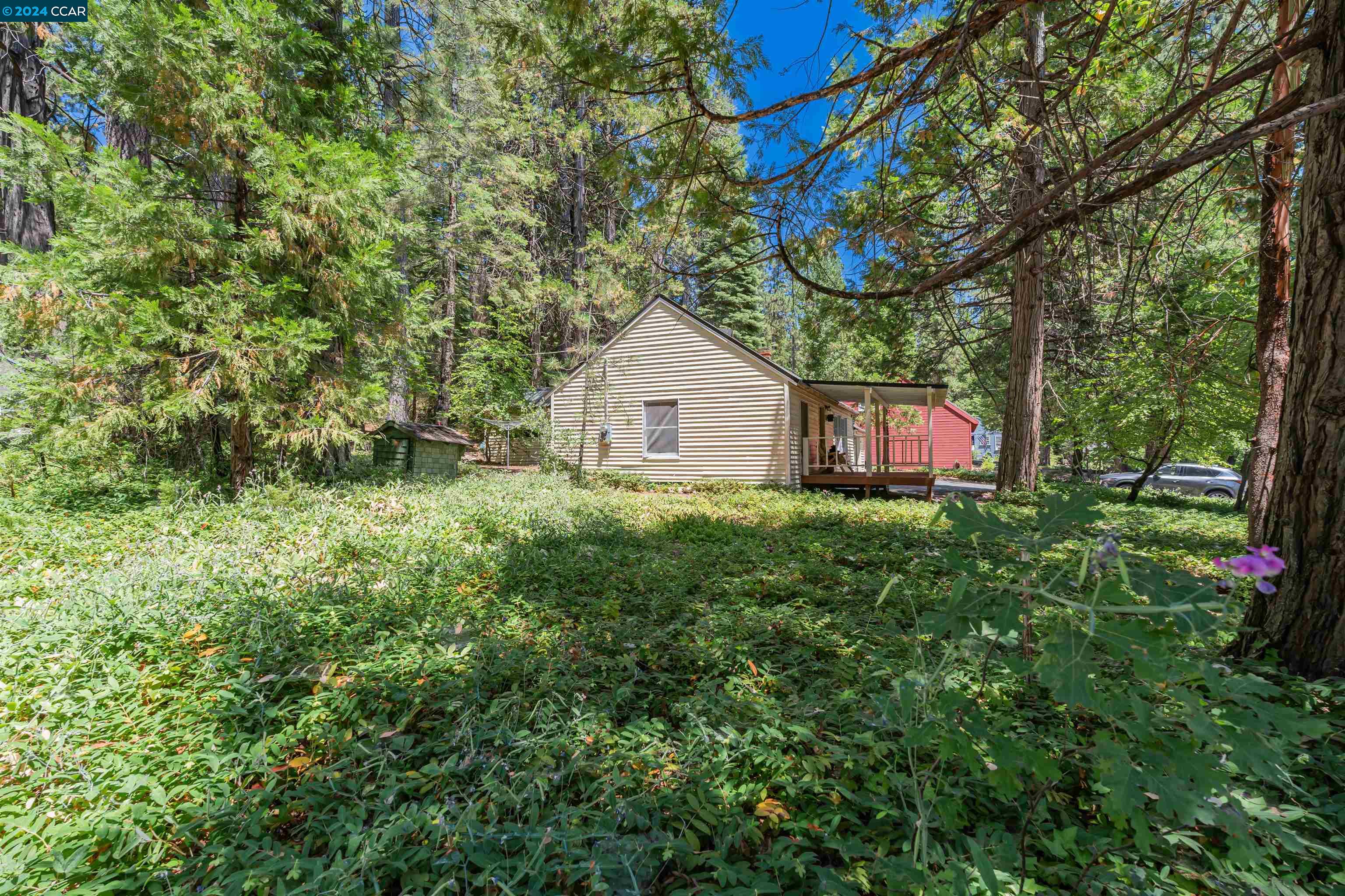 2700 Pine Dr