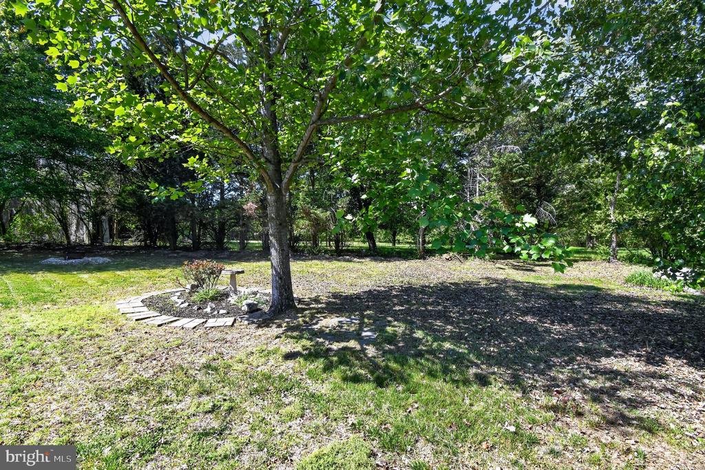 10807 FRANK TIPPETT ROAD