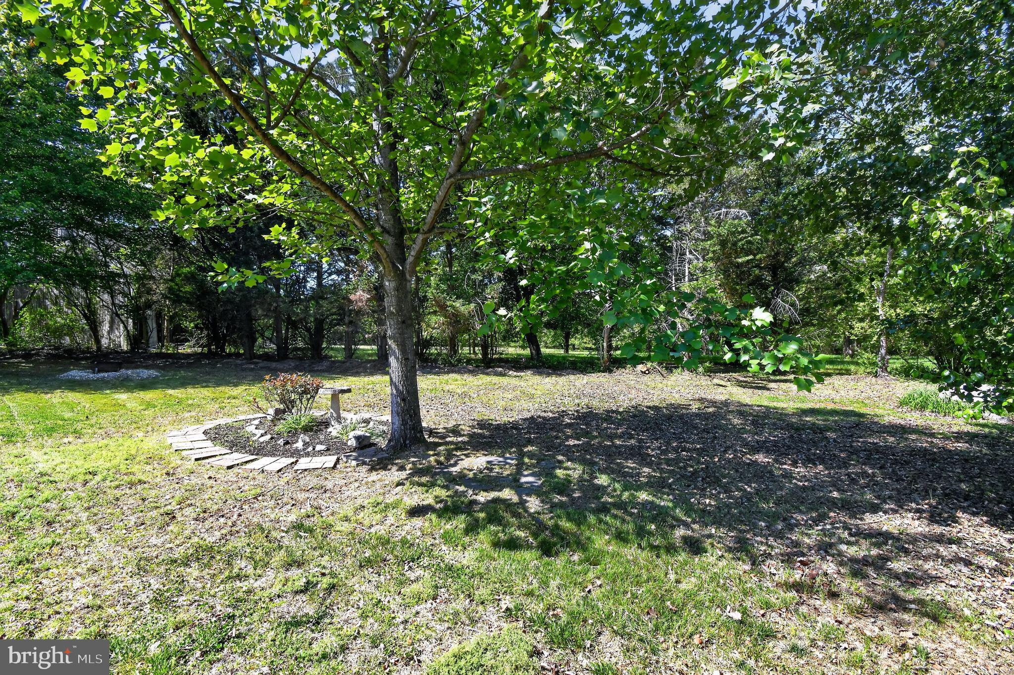 10807 FRANK TIPPETT ROAD