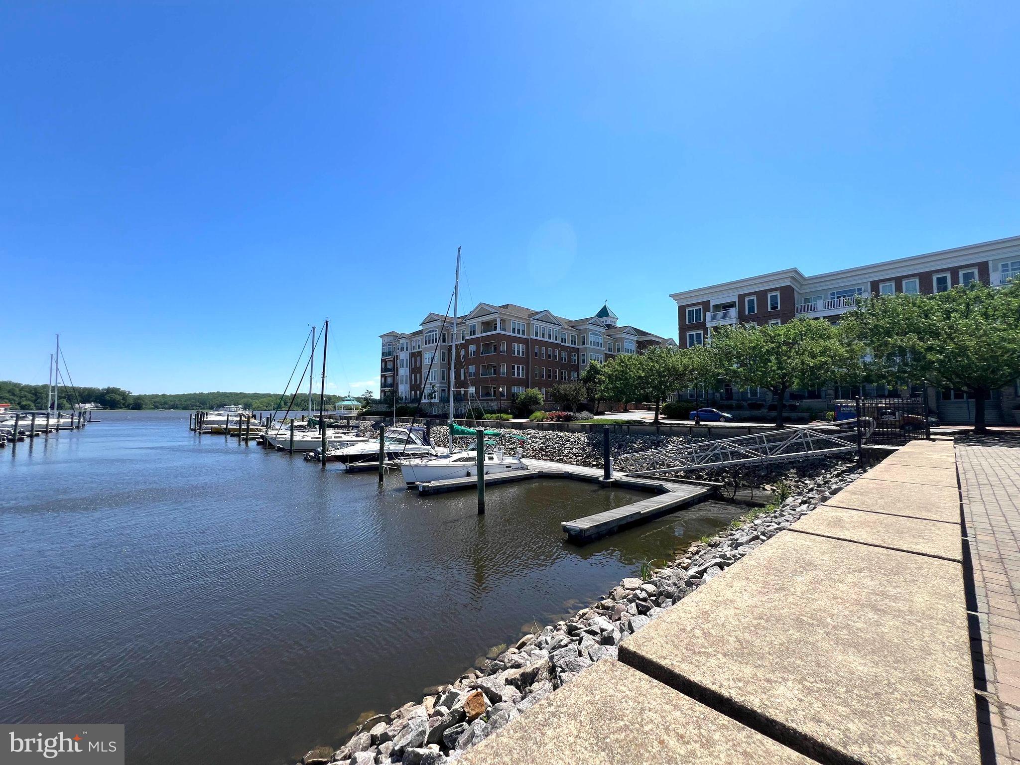 440 BELMONT BAY DRIVE 406