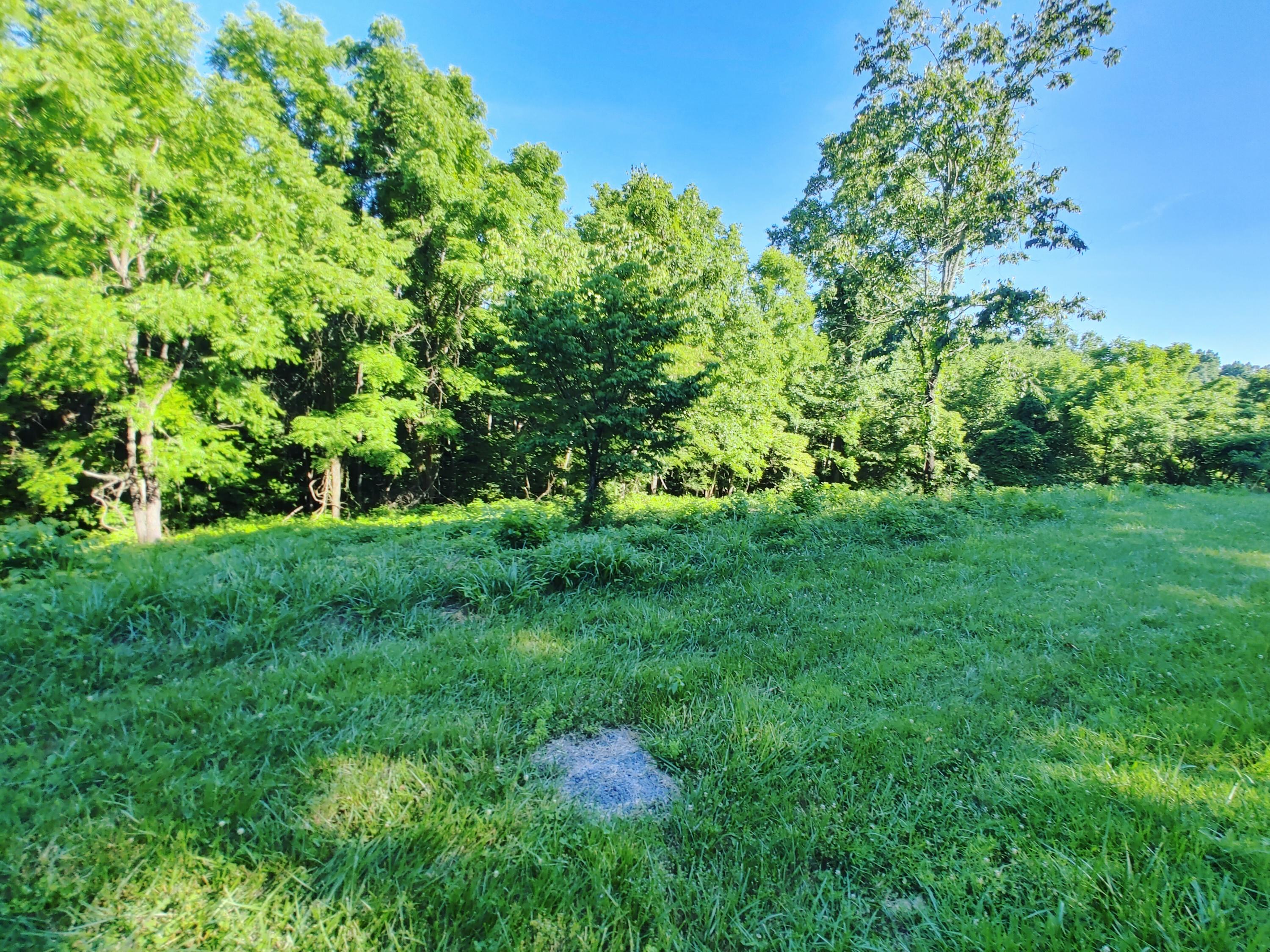 Shanghai Landing Lane, LaFollette