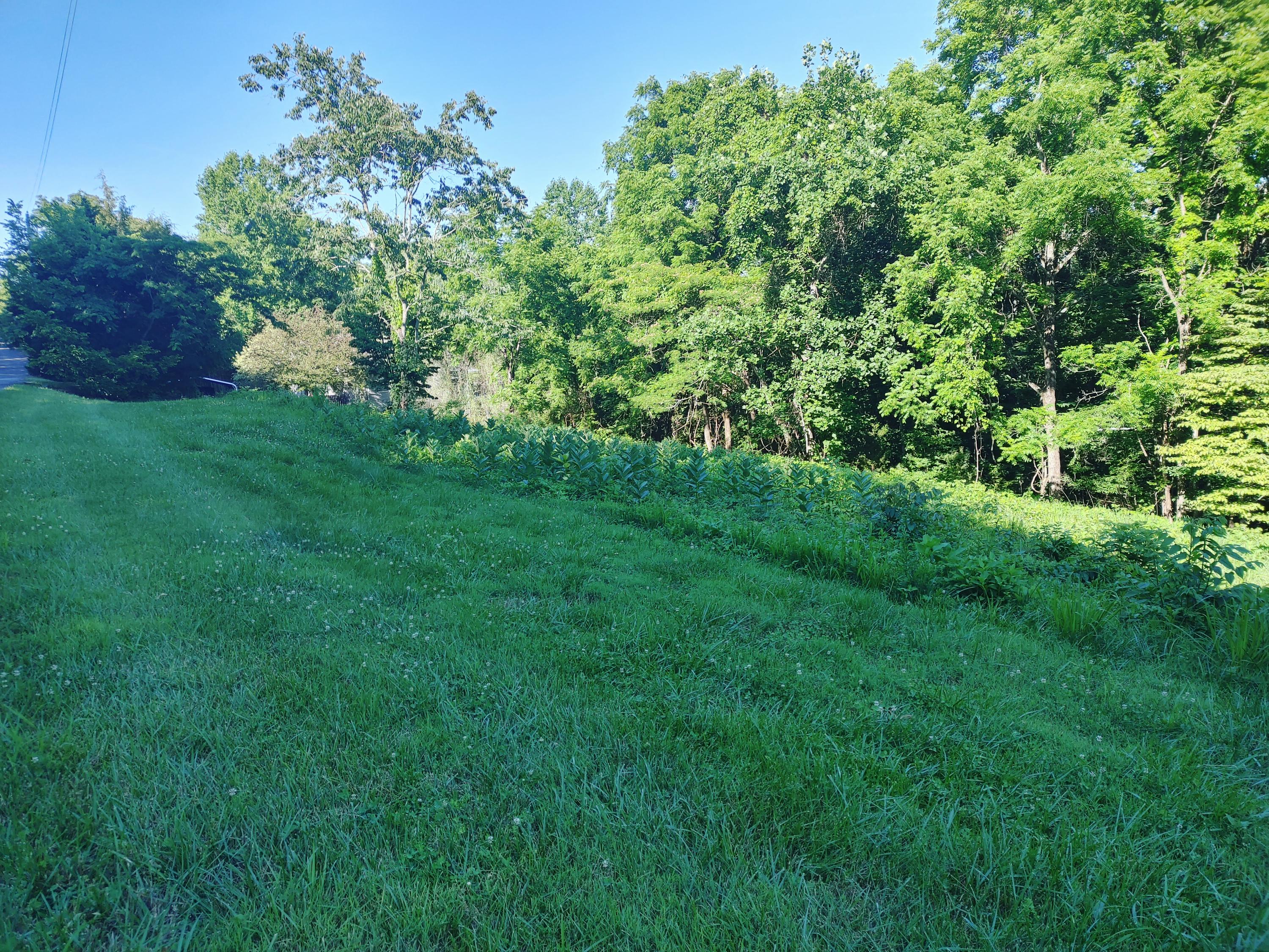 Shanghai Landing Lane, LaFollette