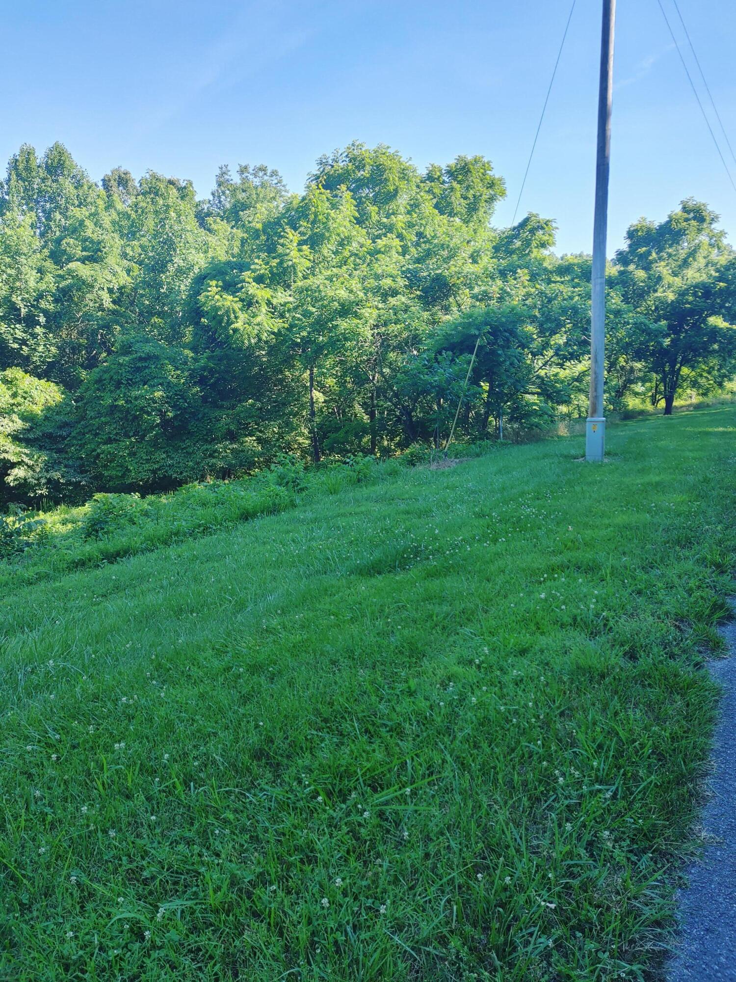 Shanghai Landing Lane, LaFollette