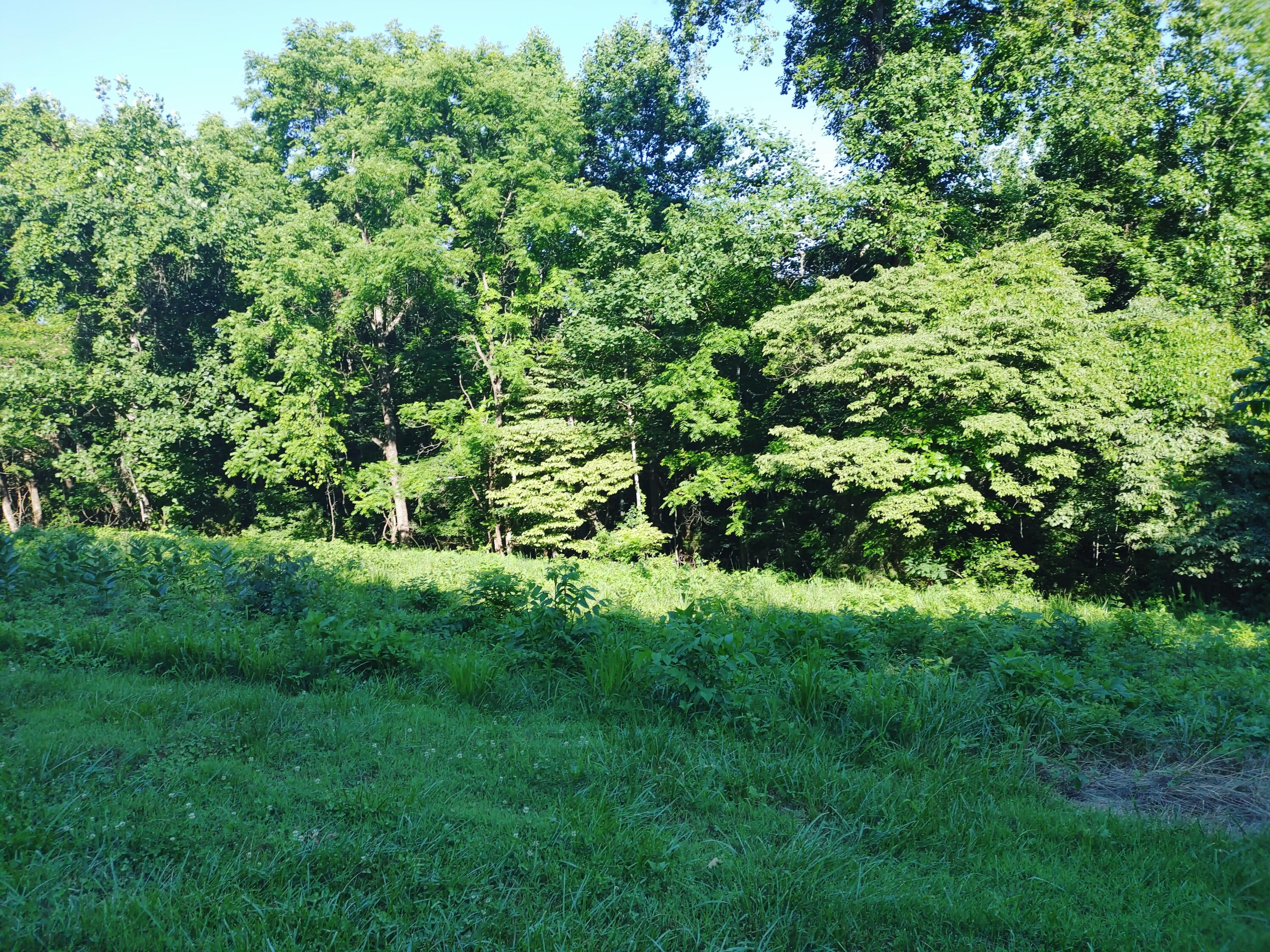 Shanghai Landing Lane, LaFollette