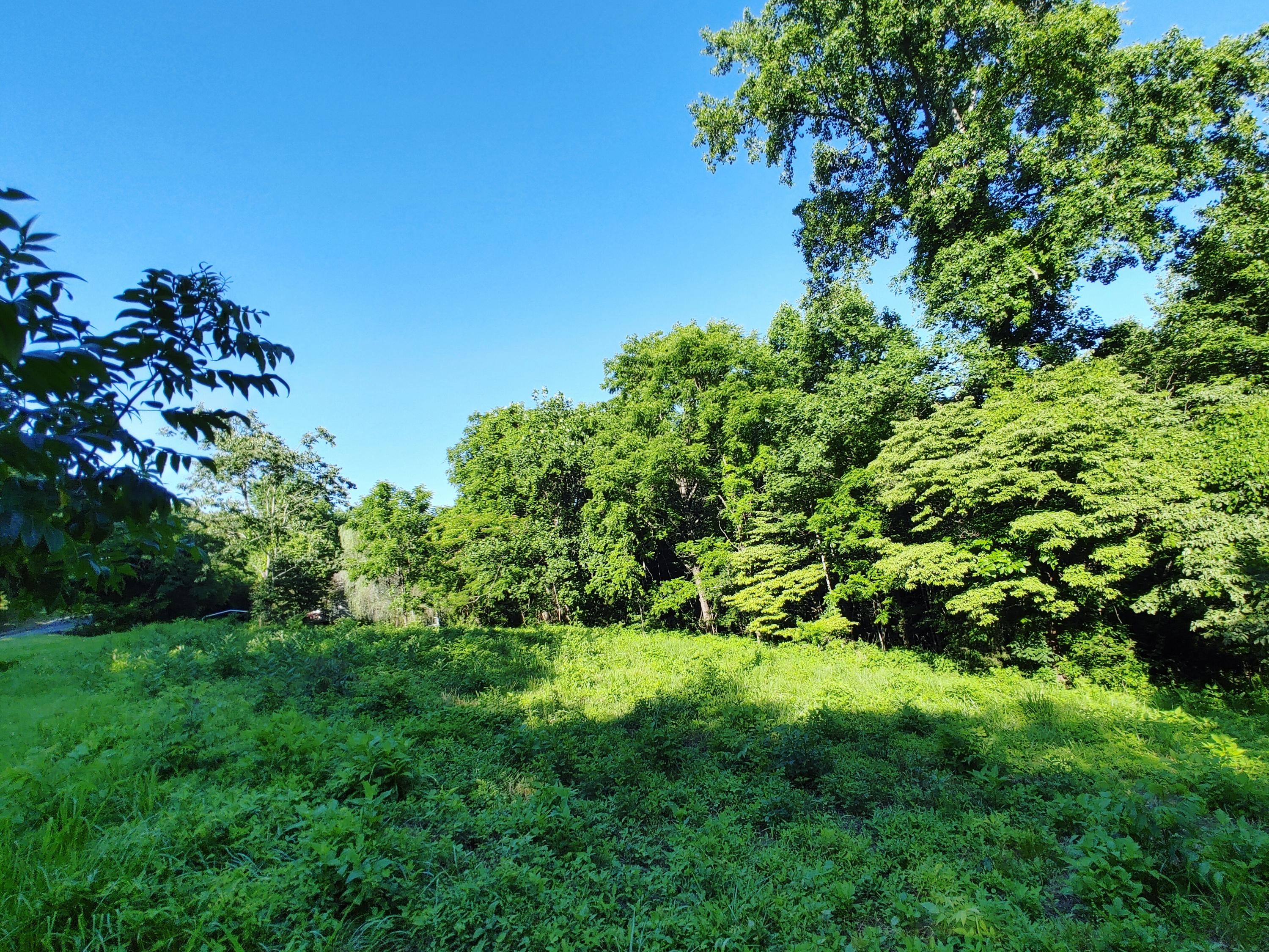 Shanghai Landing Lane, LaFollette