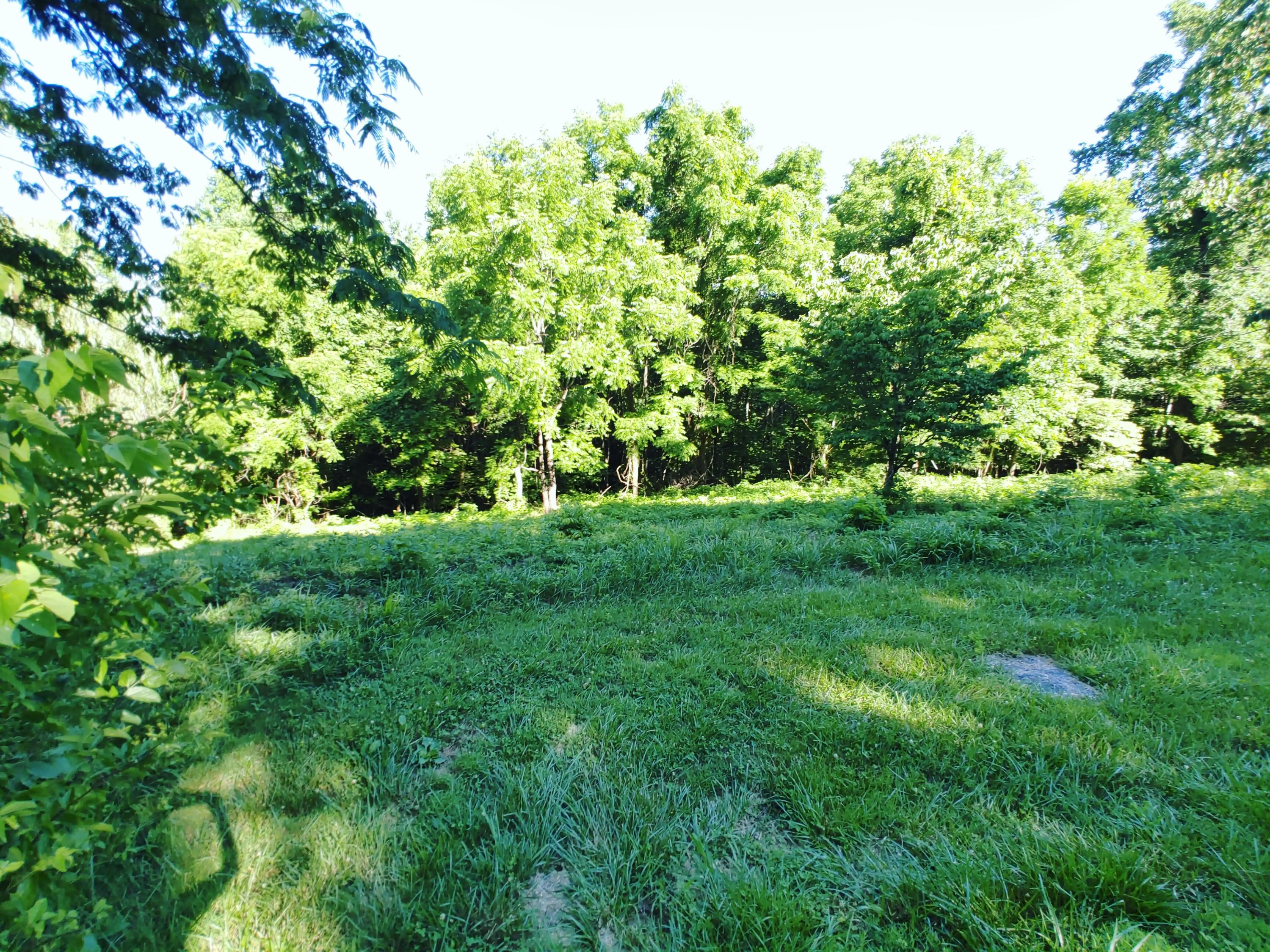 Shanghai Landing Lane, LaFollette