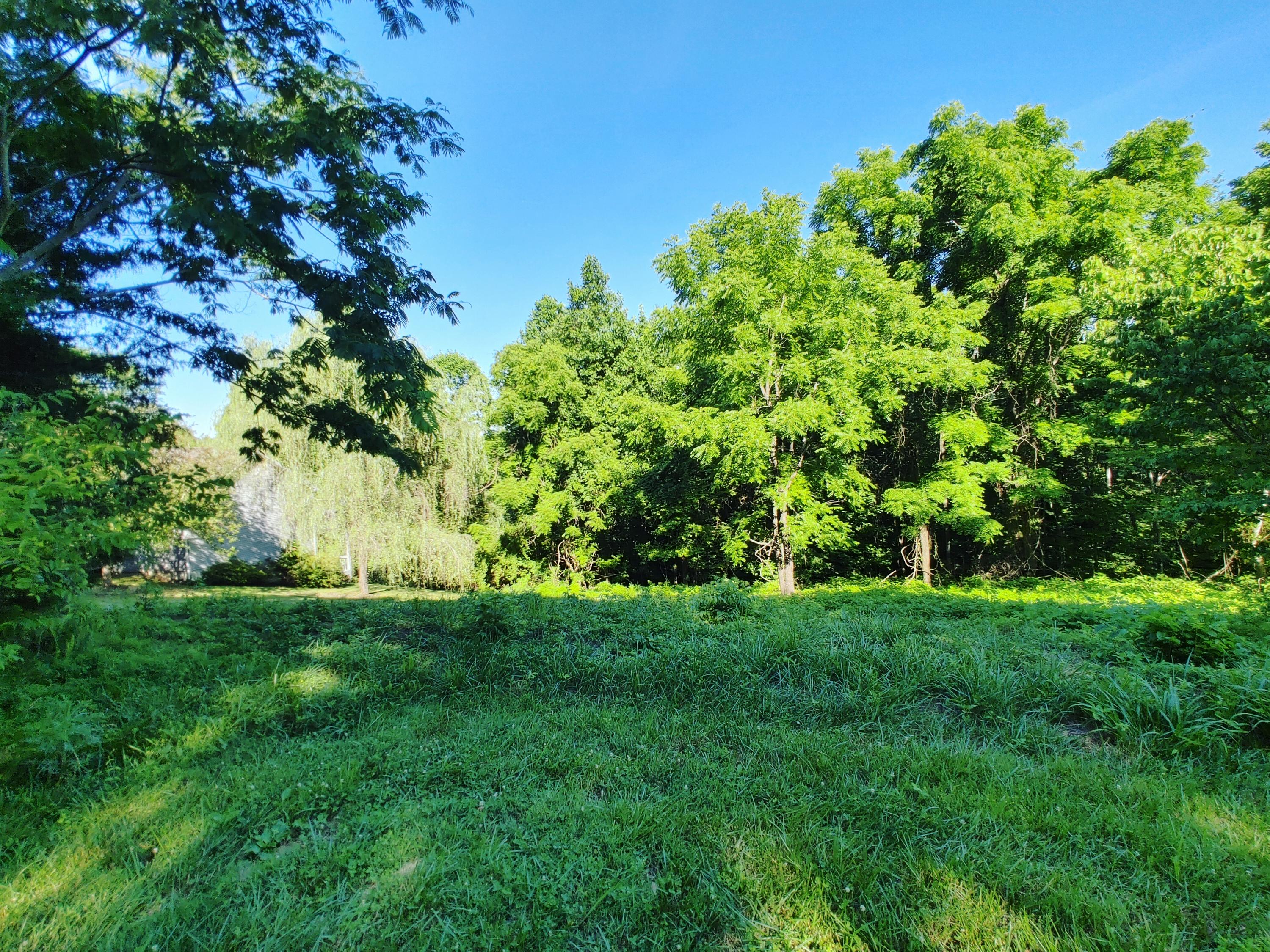 Shanghai Landing Lane, LaFollette