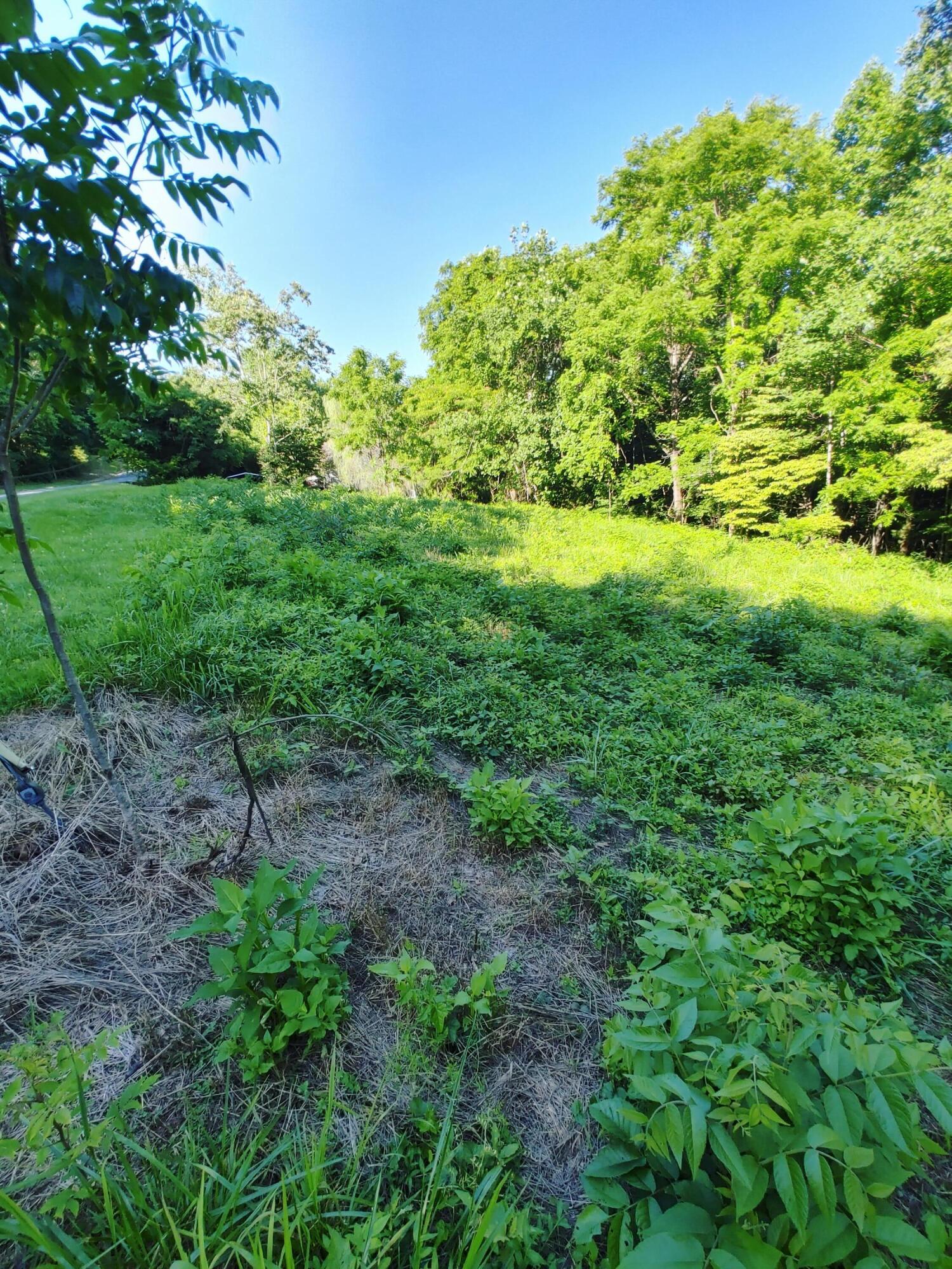 Shanghai Landing Lane, LaFollette