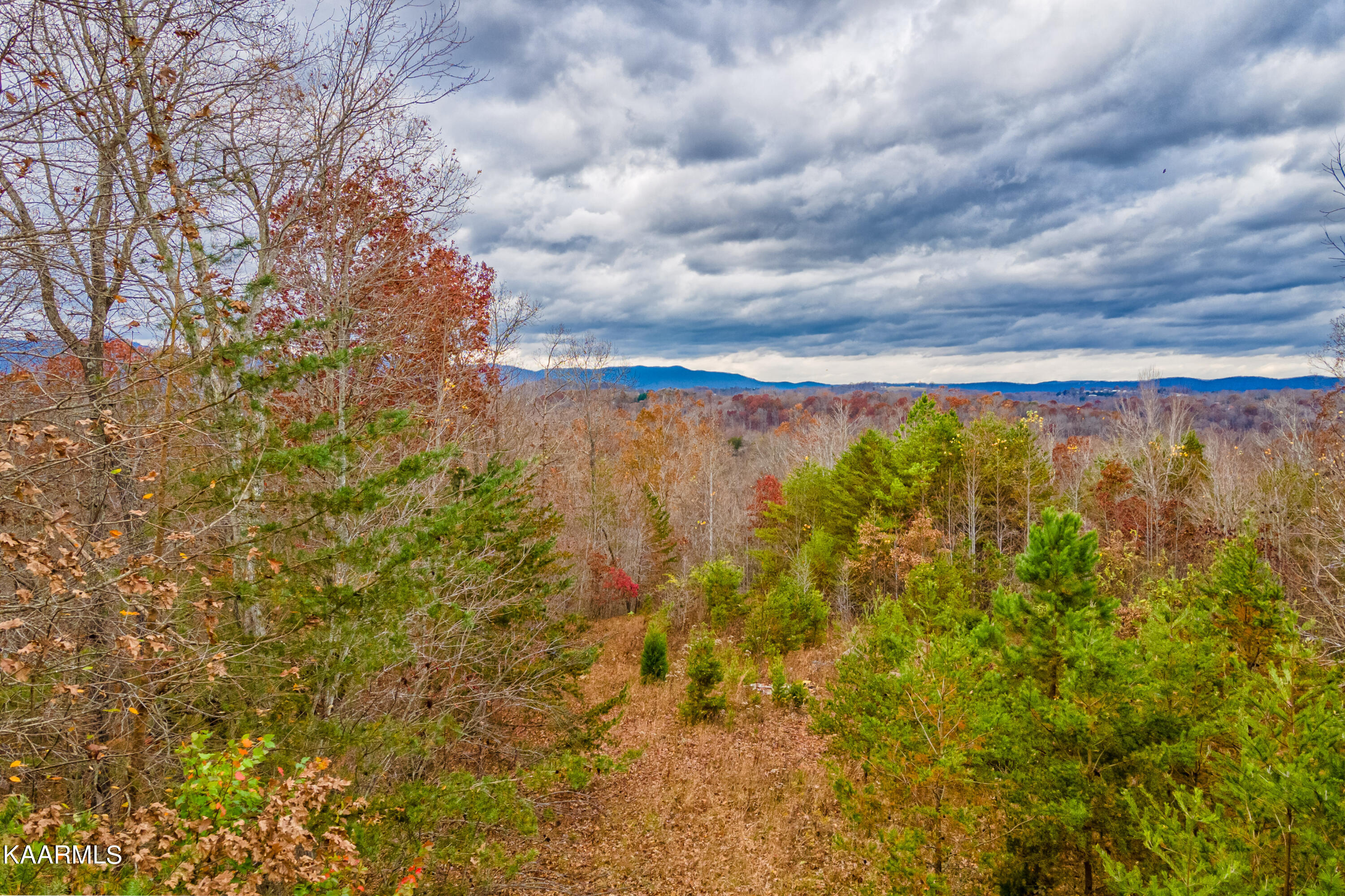 262 Hiwassee View Drive