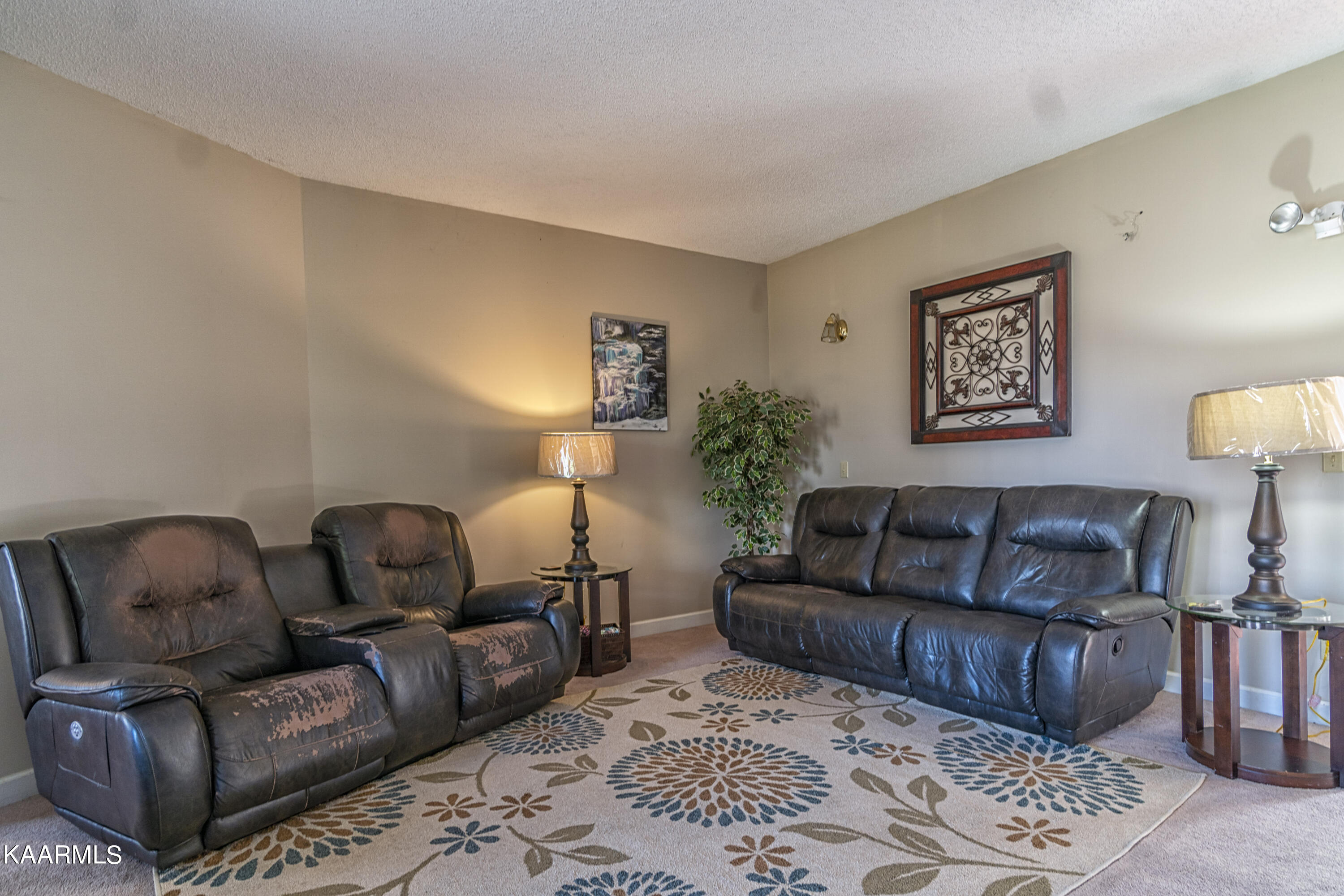 262 Hiwassee View Drive