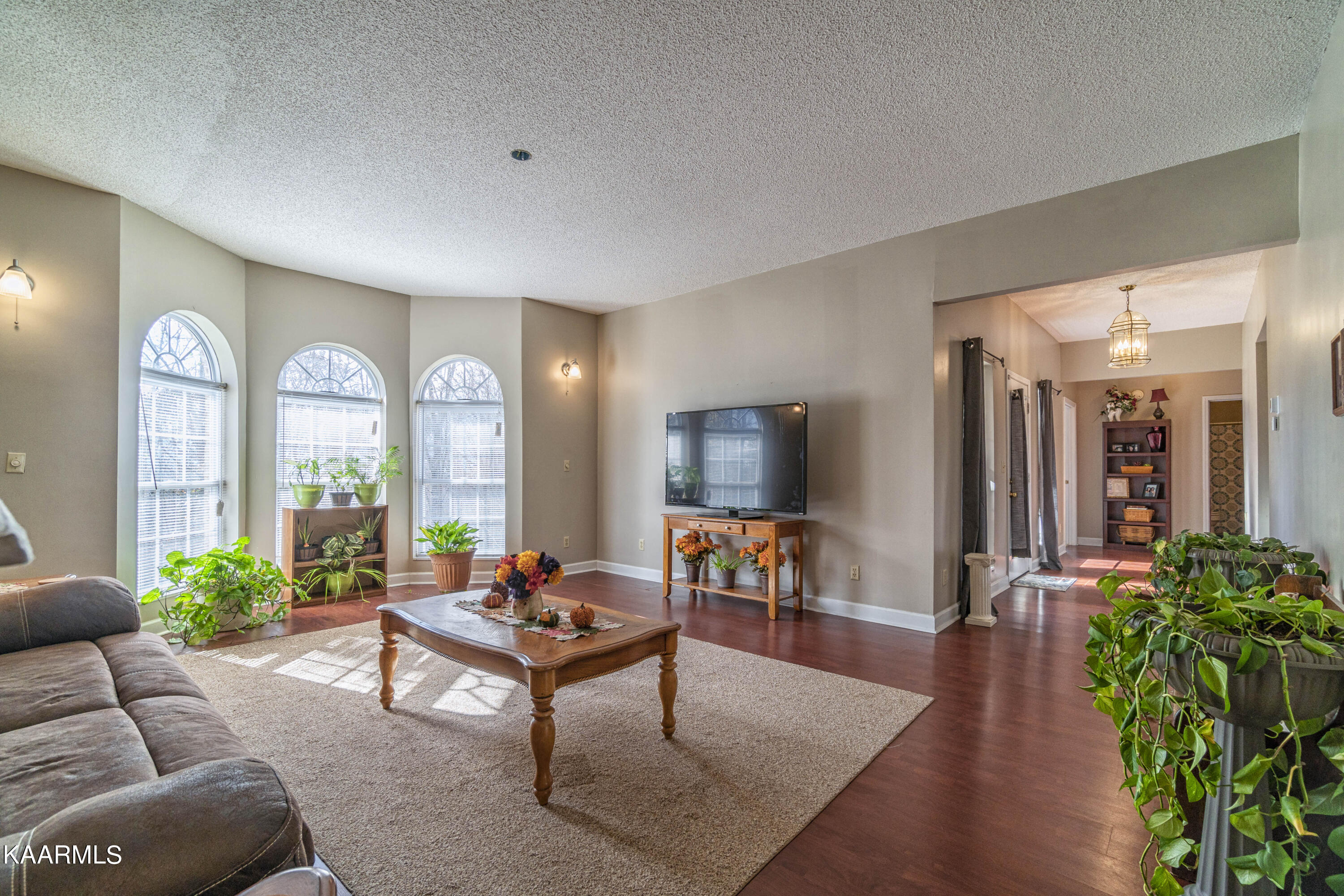 262 Hiwassee View Drive