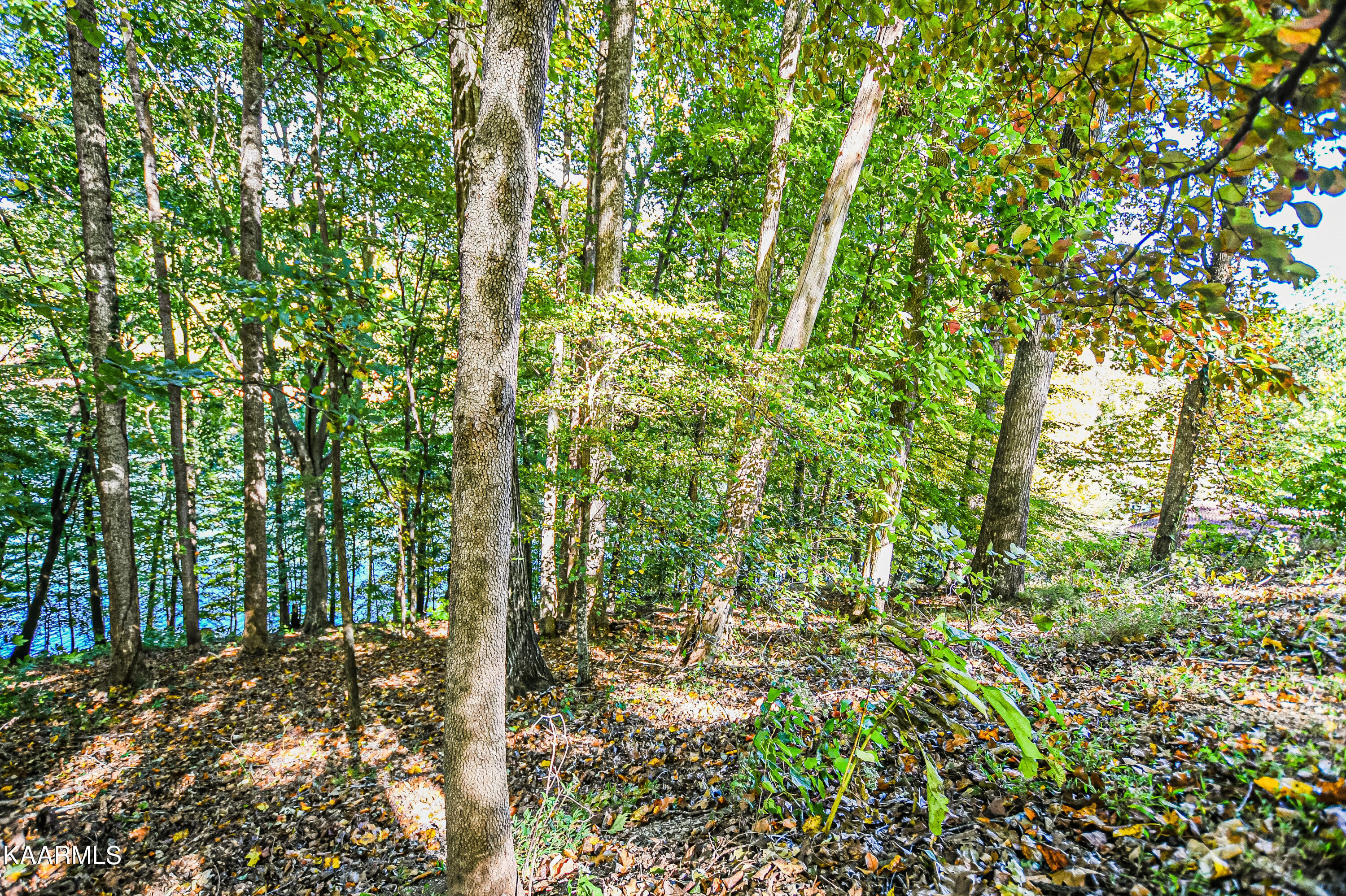 319 S Shorewood Drive