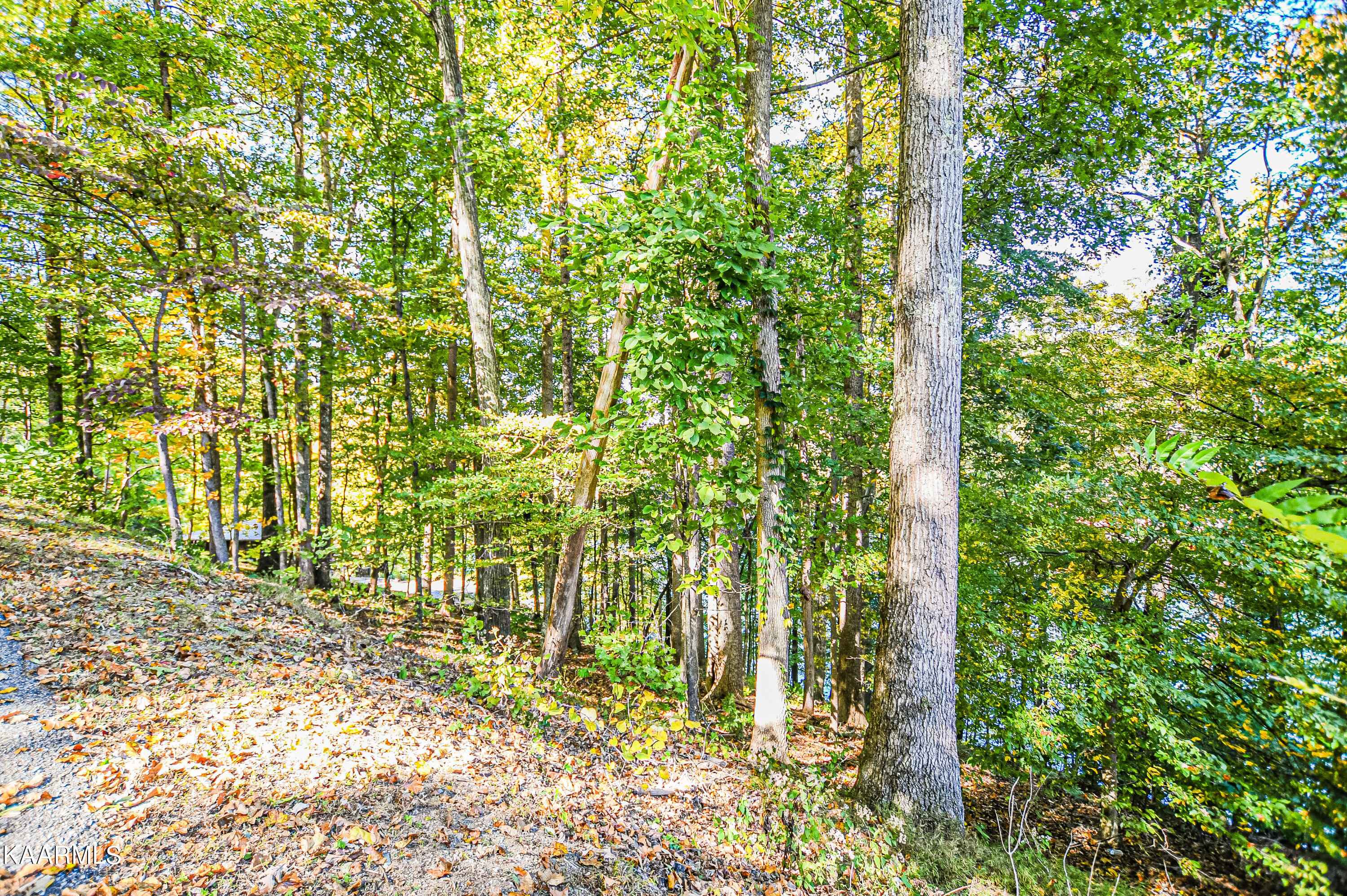 319 S Shorewood Drive