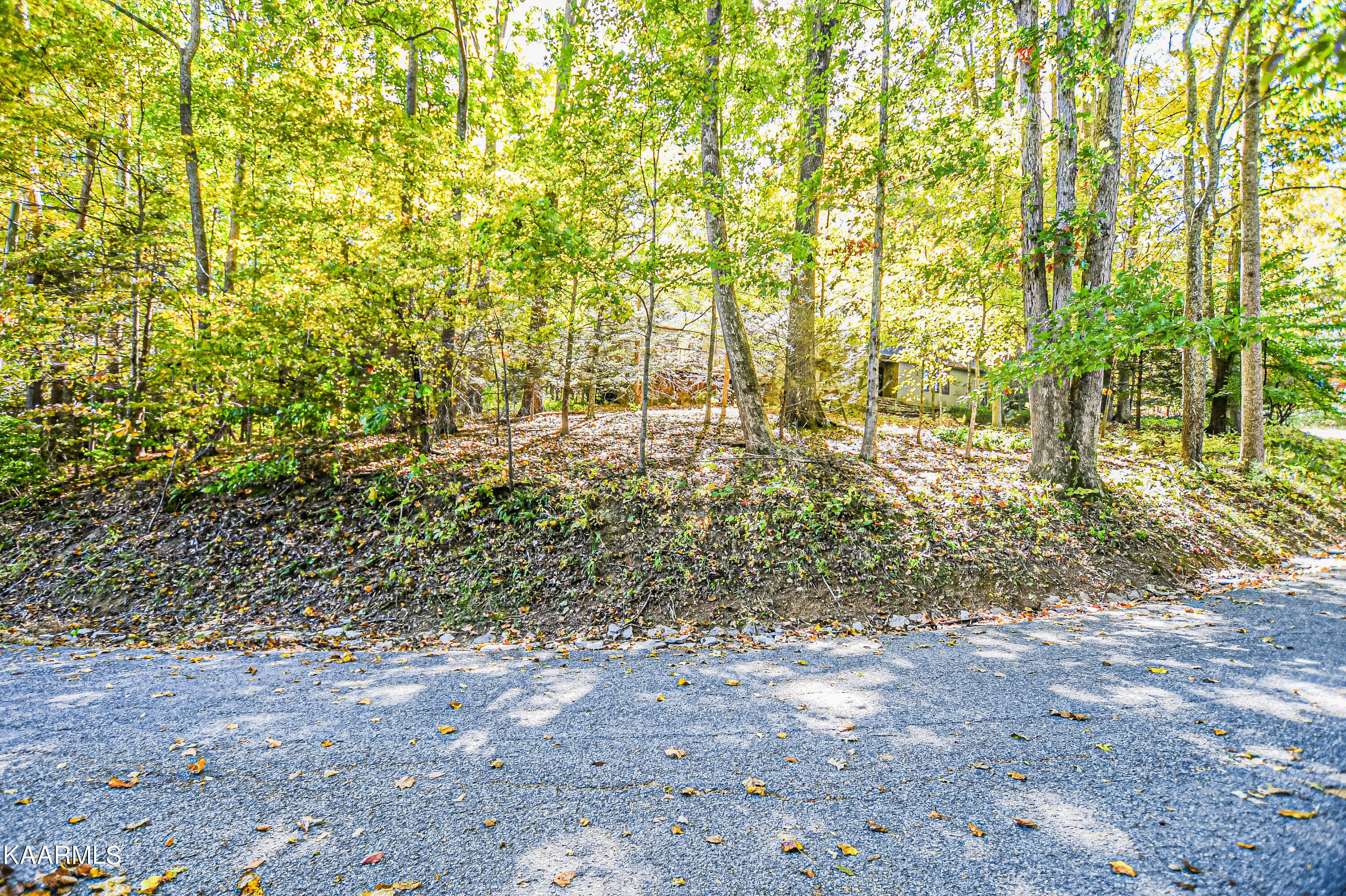 319 S Shorewood Drive