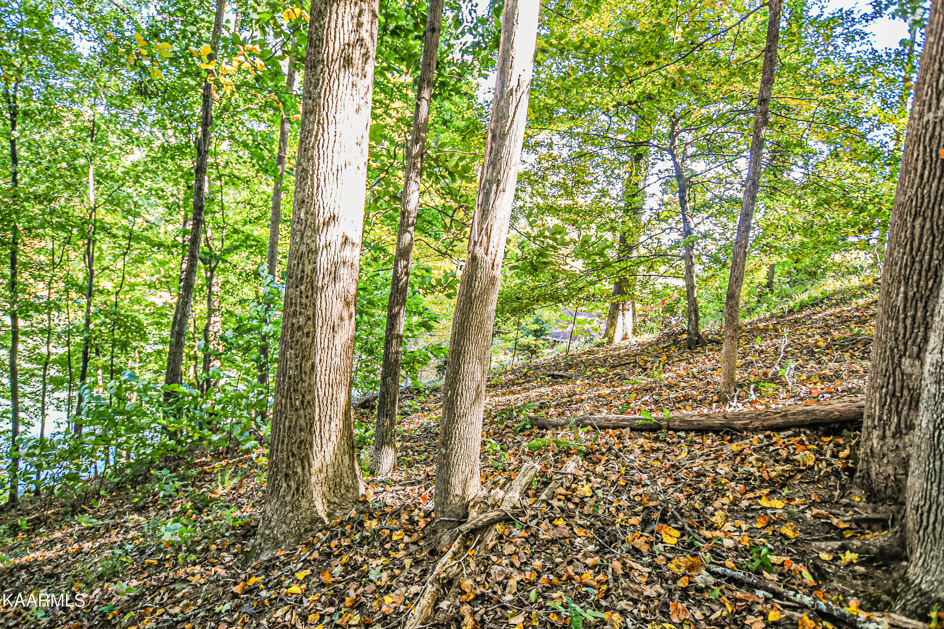 319 S Shorewood Drive