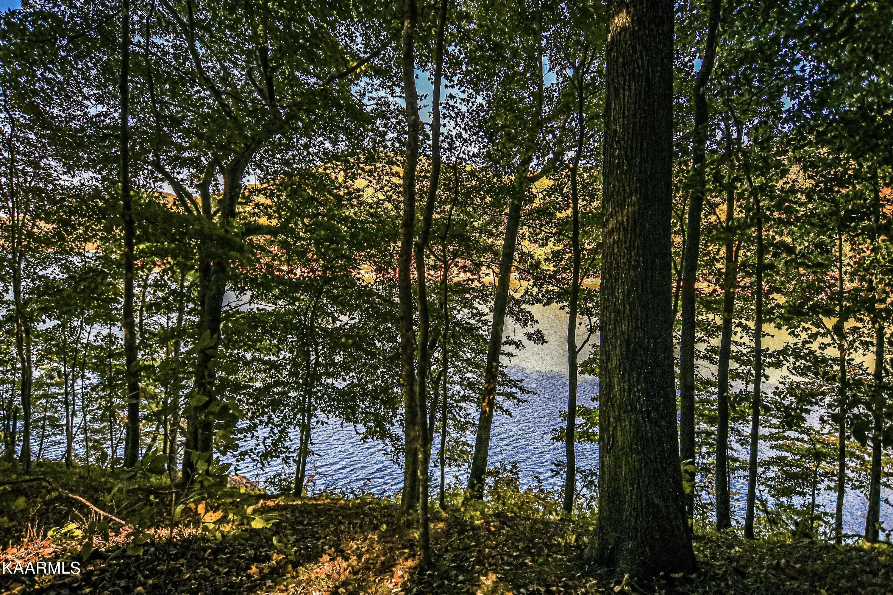 319 S Shorewood Drive