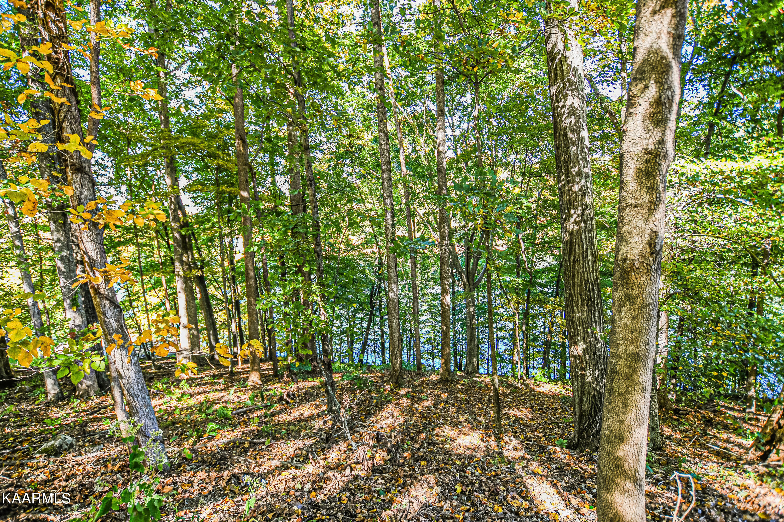 319 S Shorewood Drive