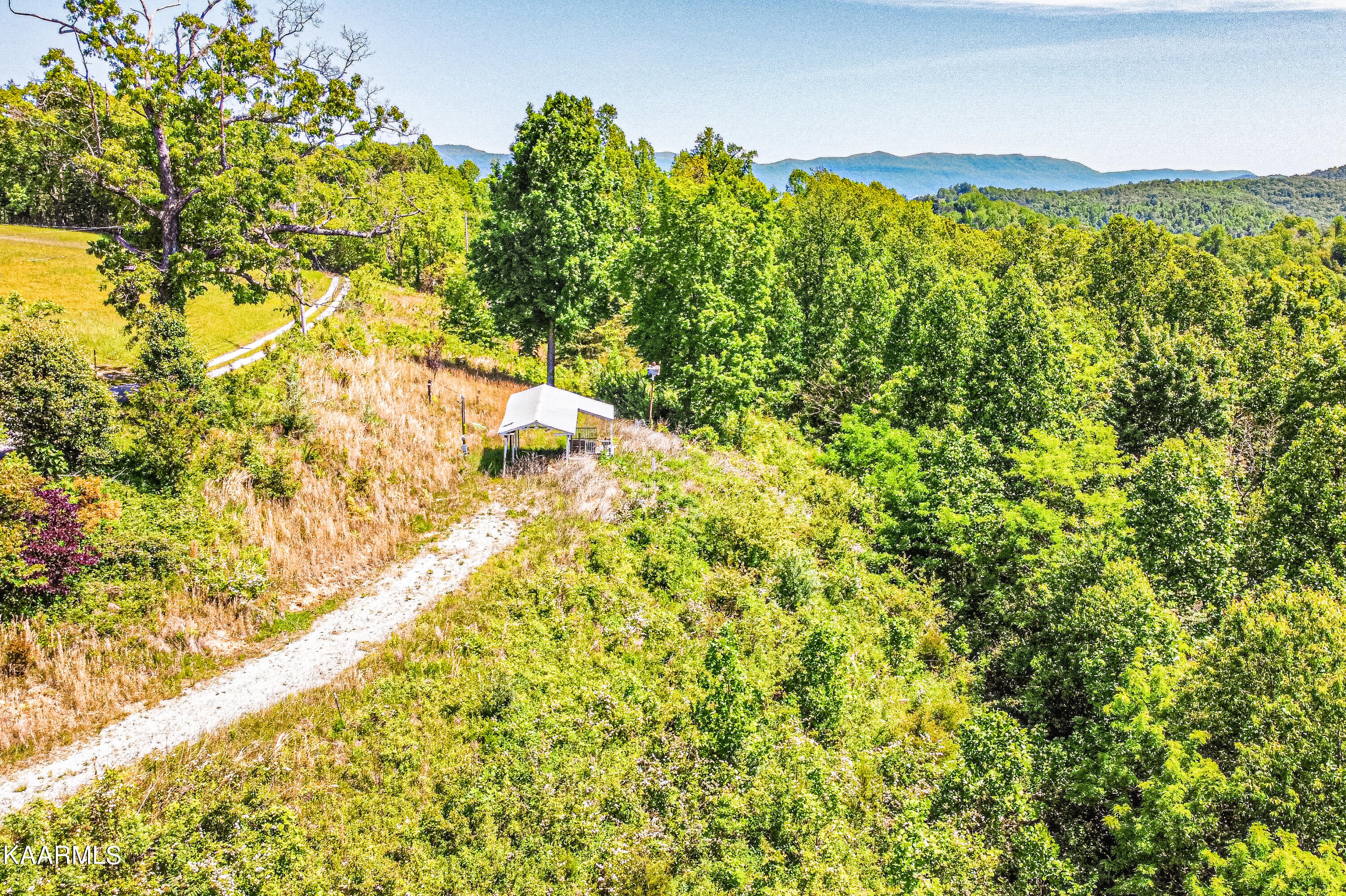 Lynn Lane, LaFollette