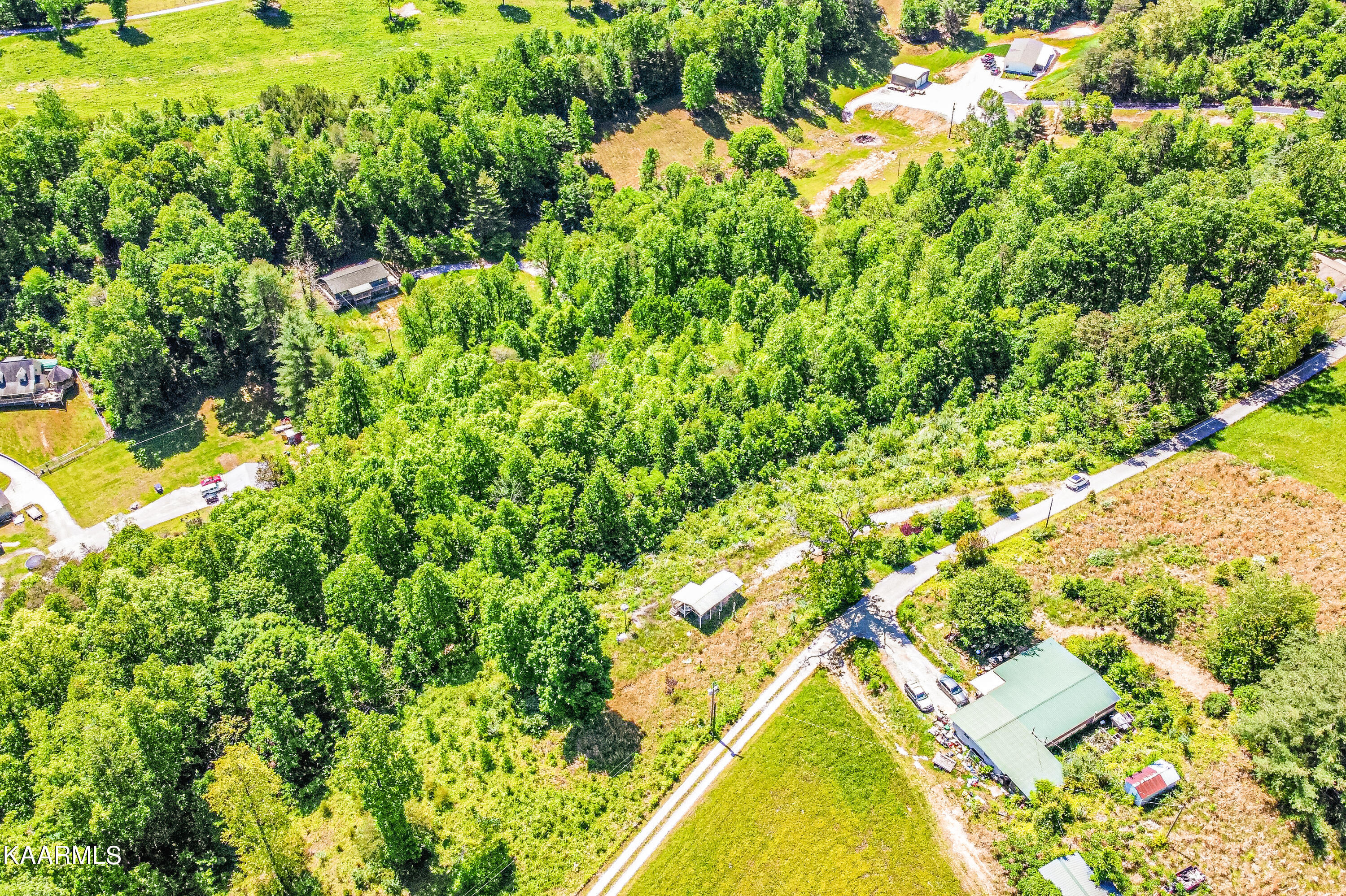 Lynn Lane, LaFollette