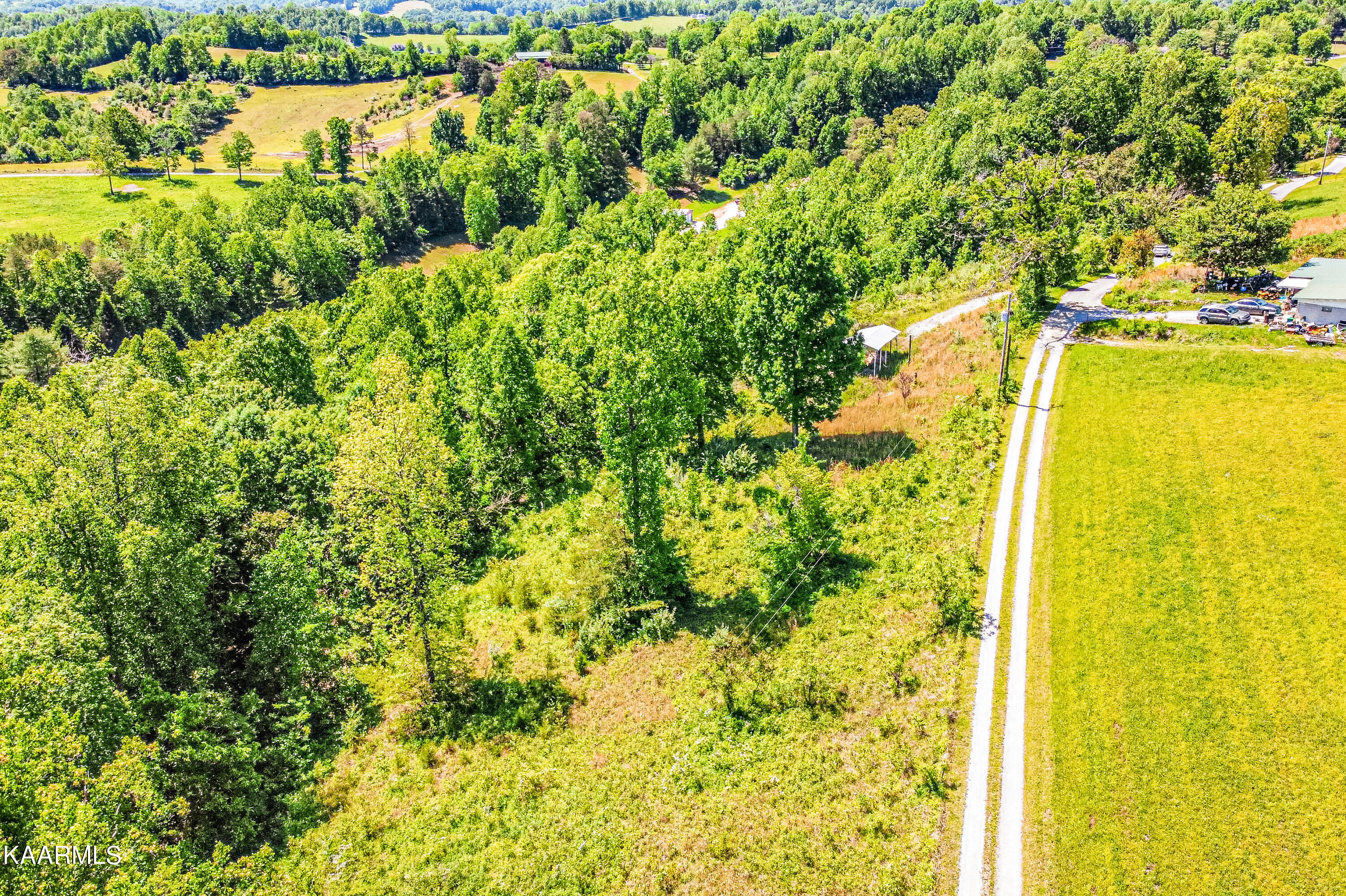 Lynn Lane, LaFollette