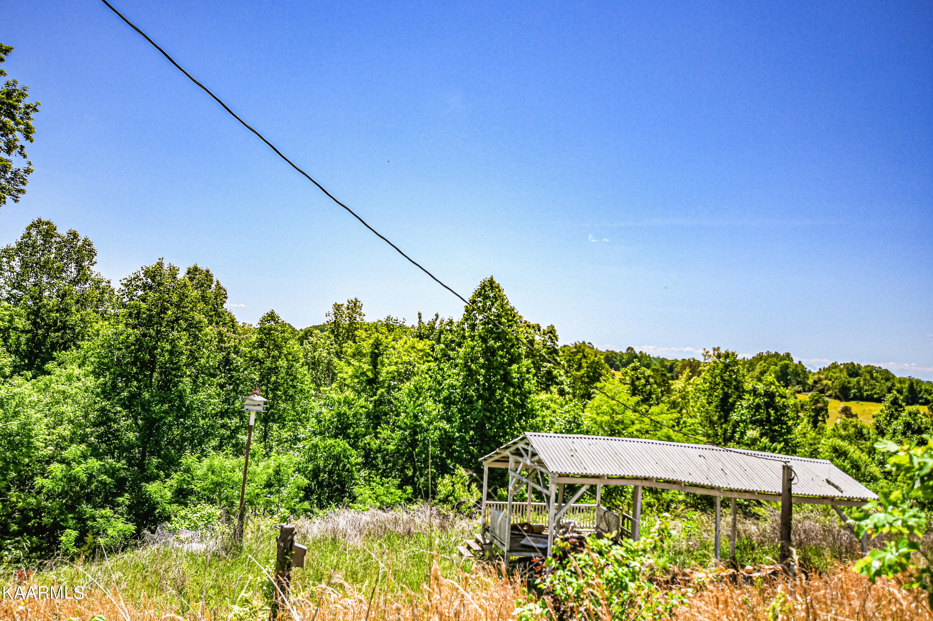 Lynn Lane, LaFollette