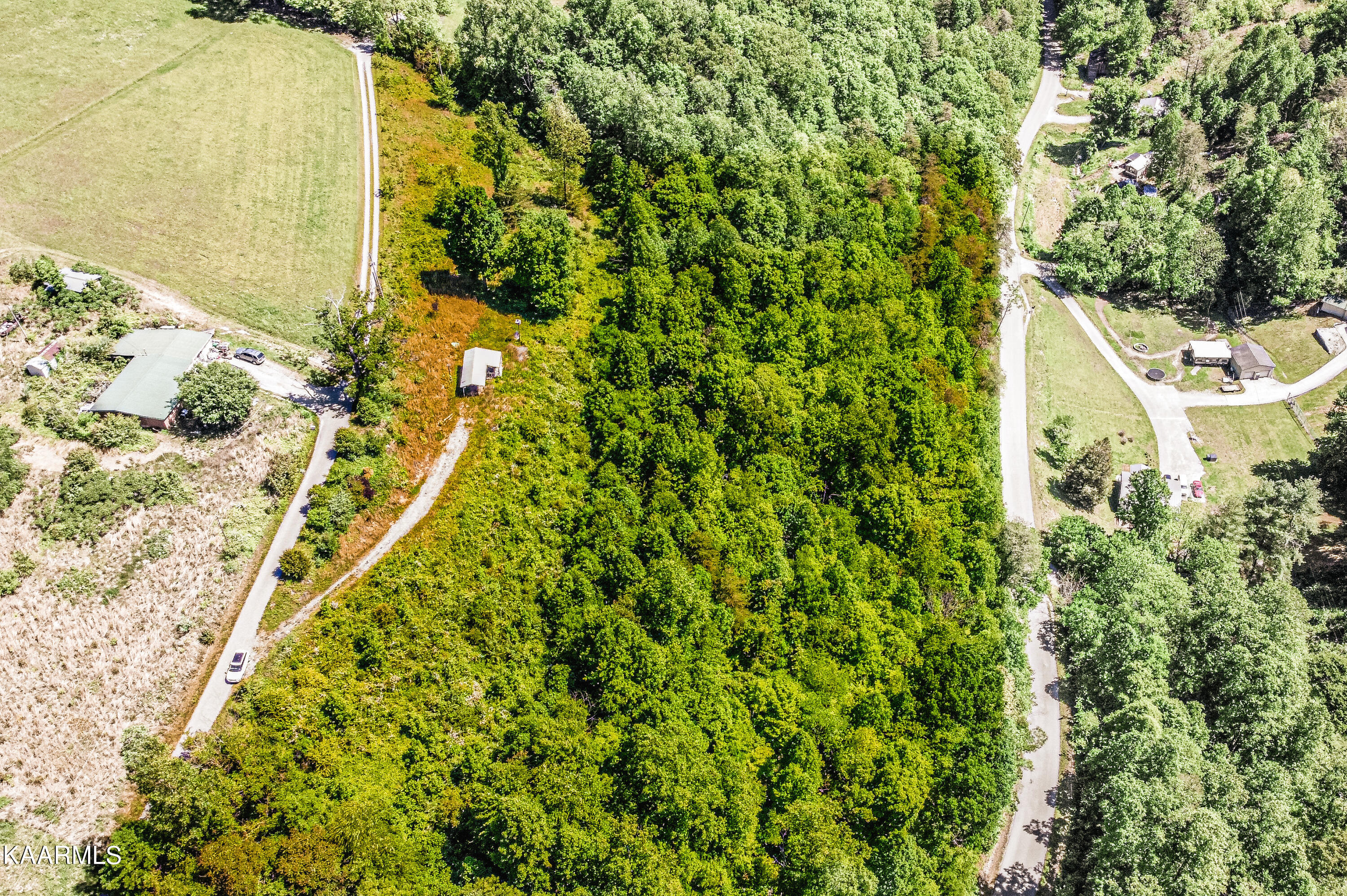 Lynn Lane, LaFollette