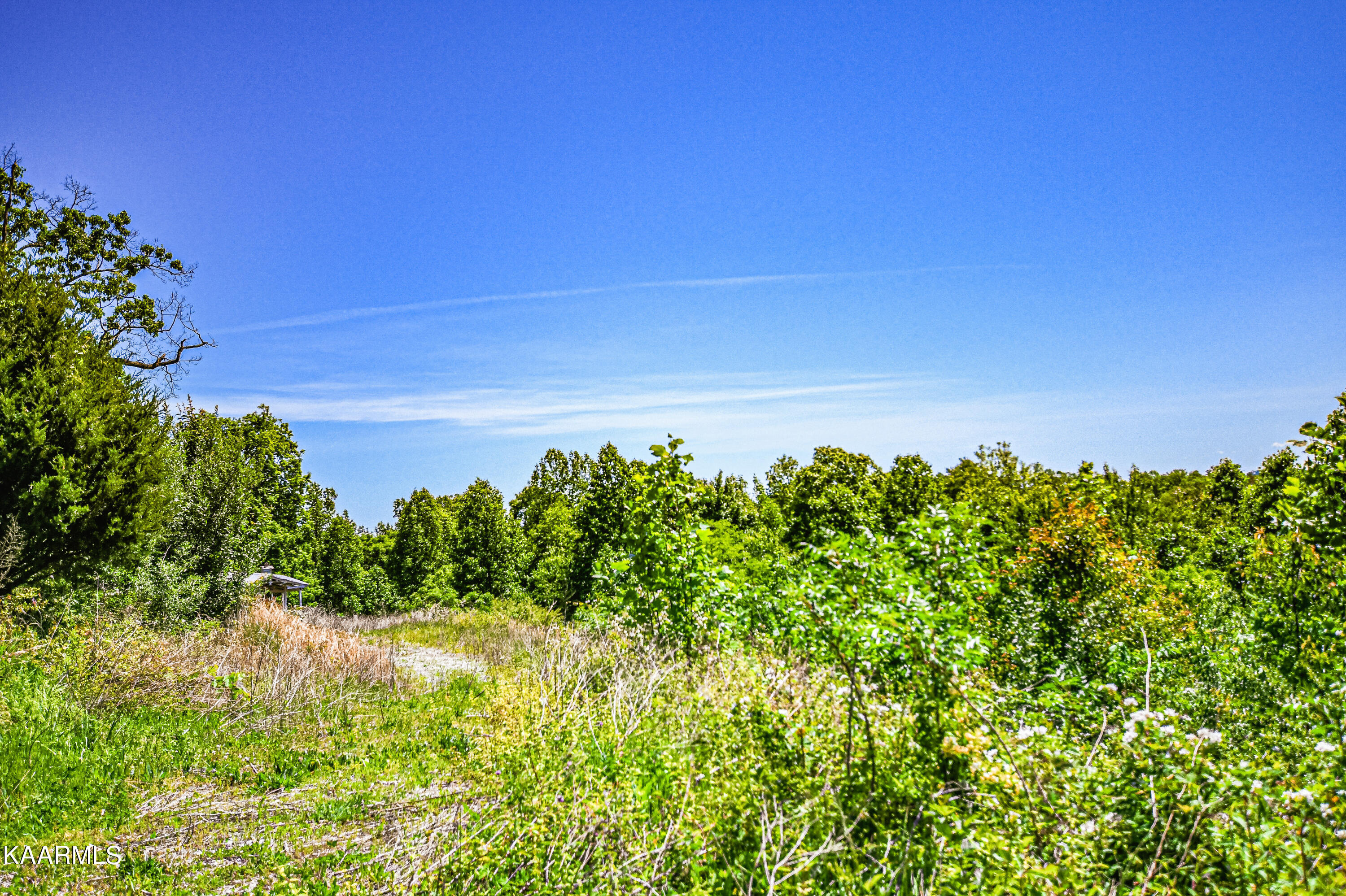 Lynn Lane, LaFollette