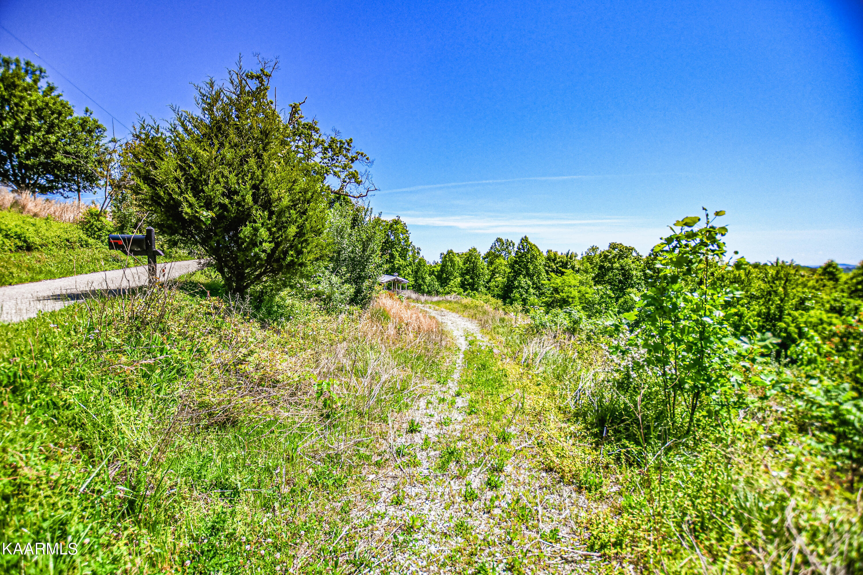 Lynn Lane, LaFollette