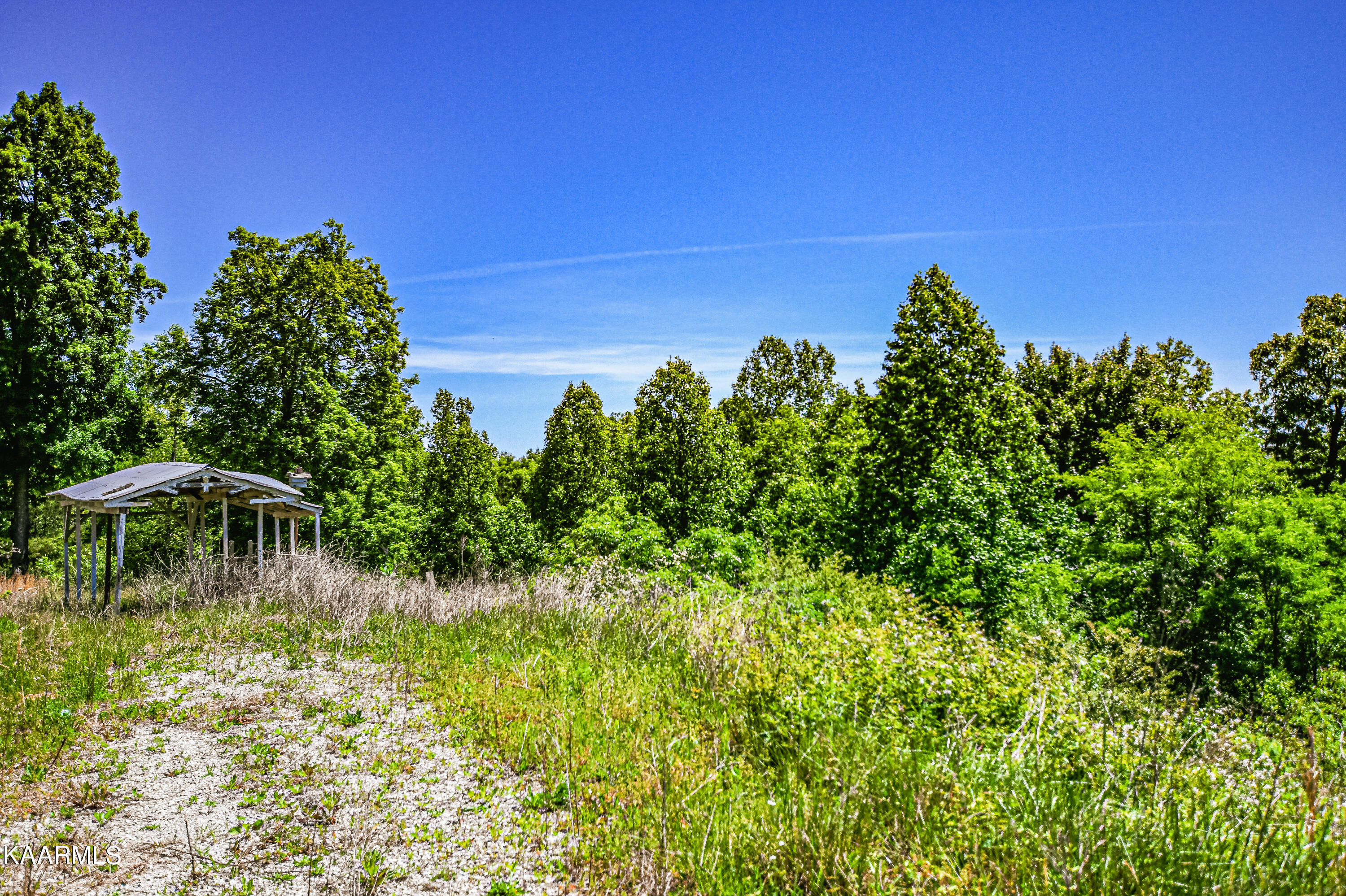 Lynn Lane, LaFollette