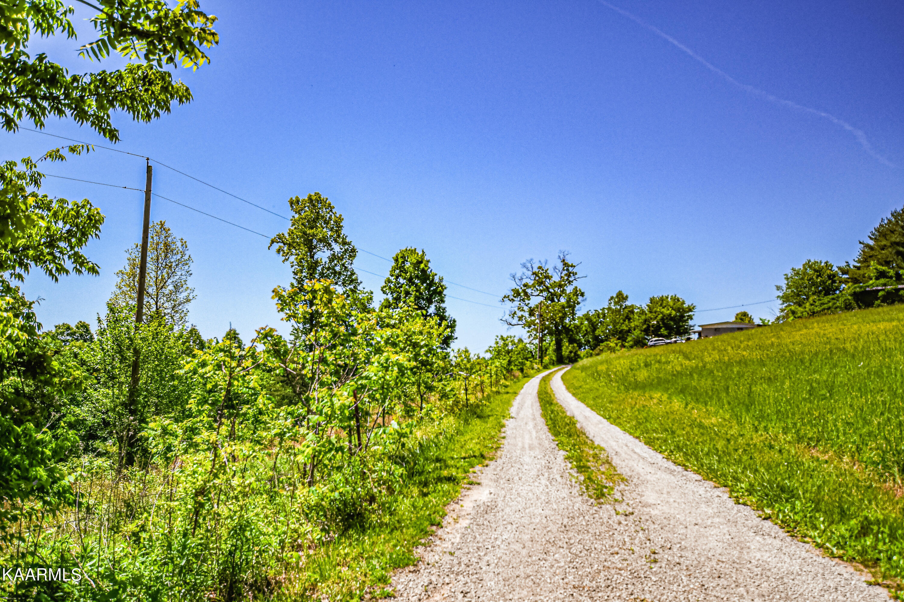 Lynn Lane, LaFollette