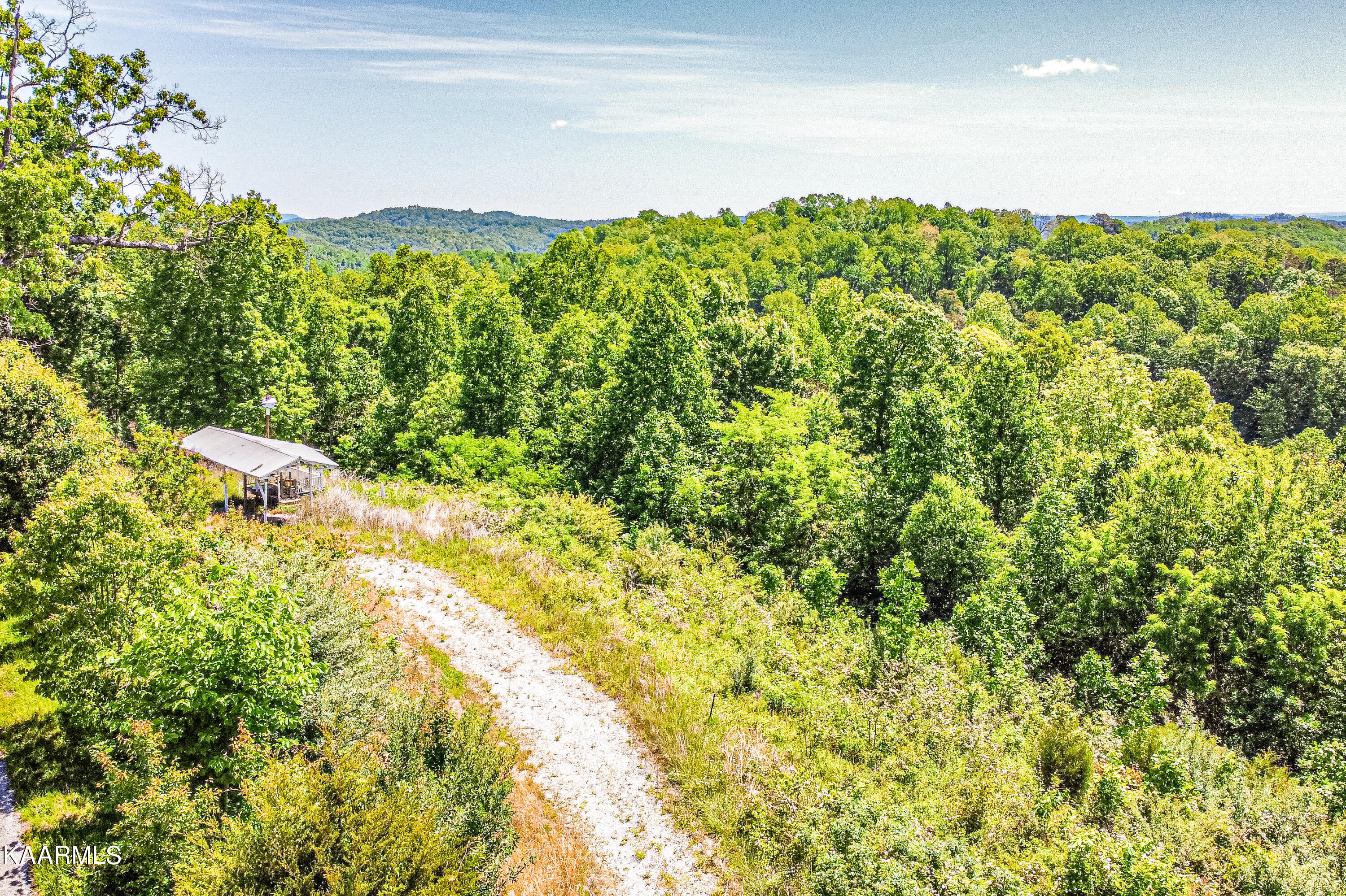 Lynn Lane, LaFollette