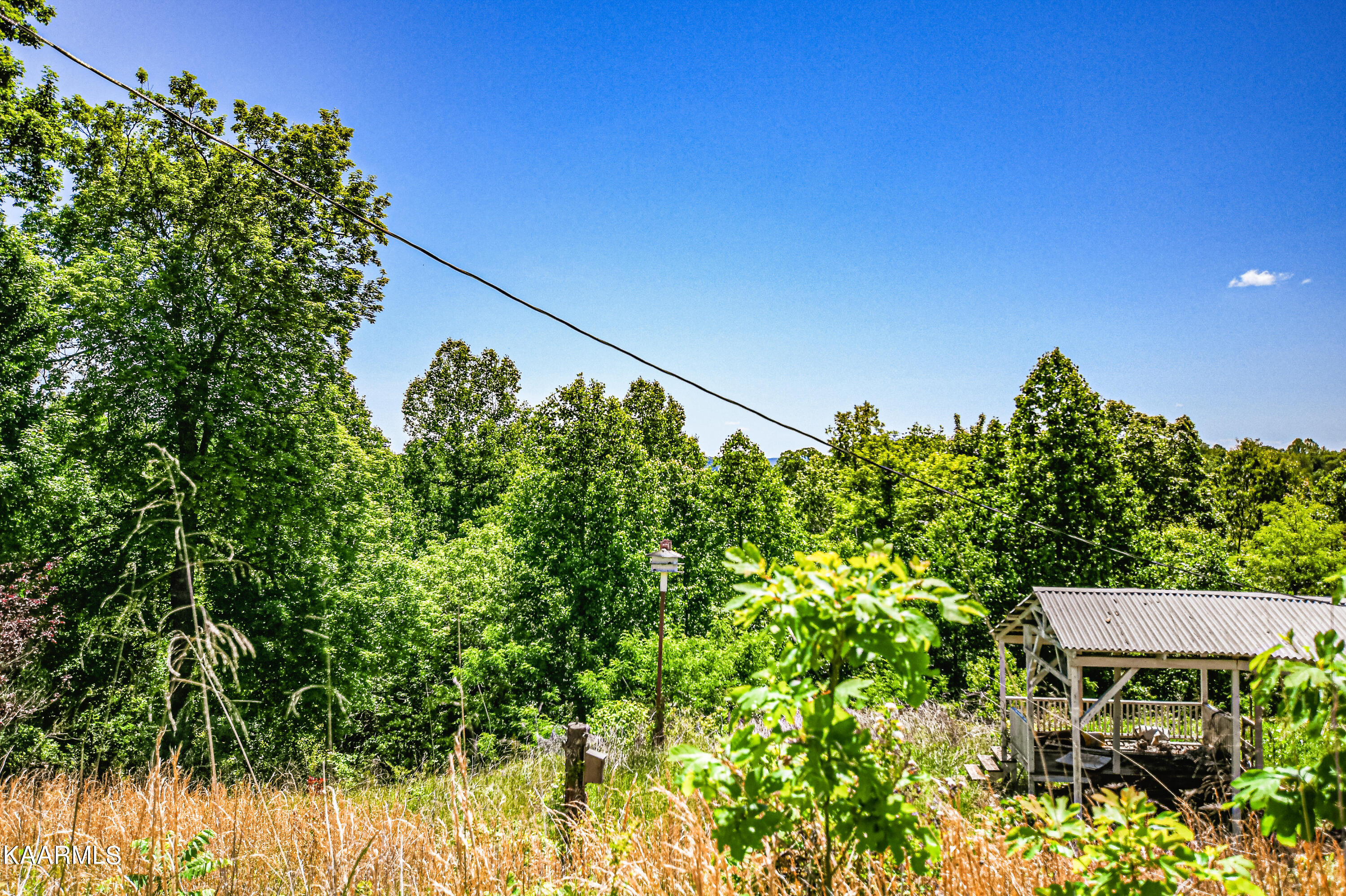 Lynn Lane, LaFollette