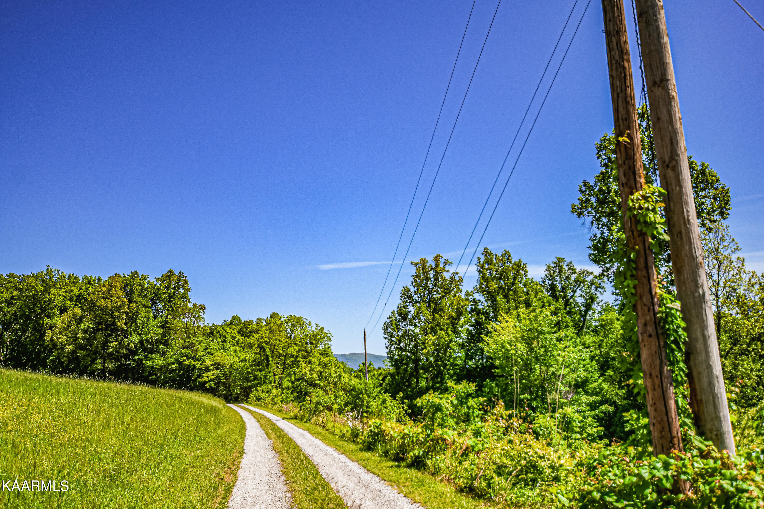 Lynn Lane, LaFollette