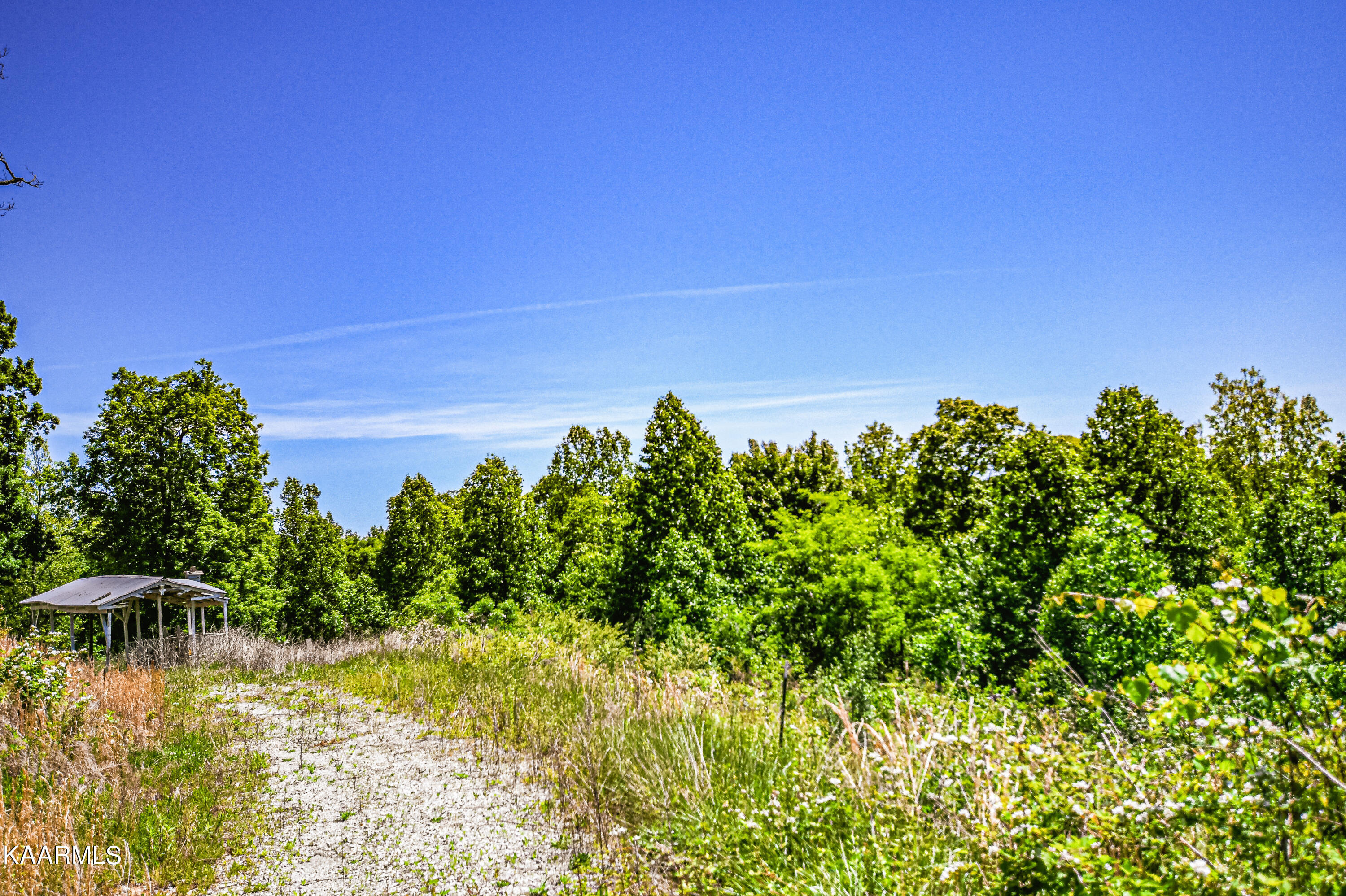 Lynn Lane, LaFollette