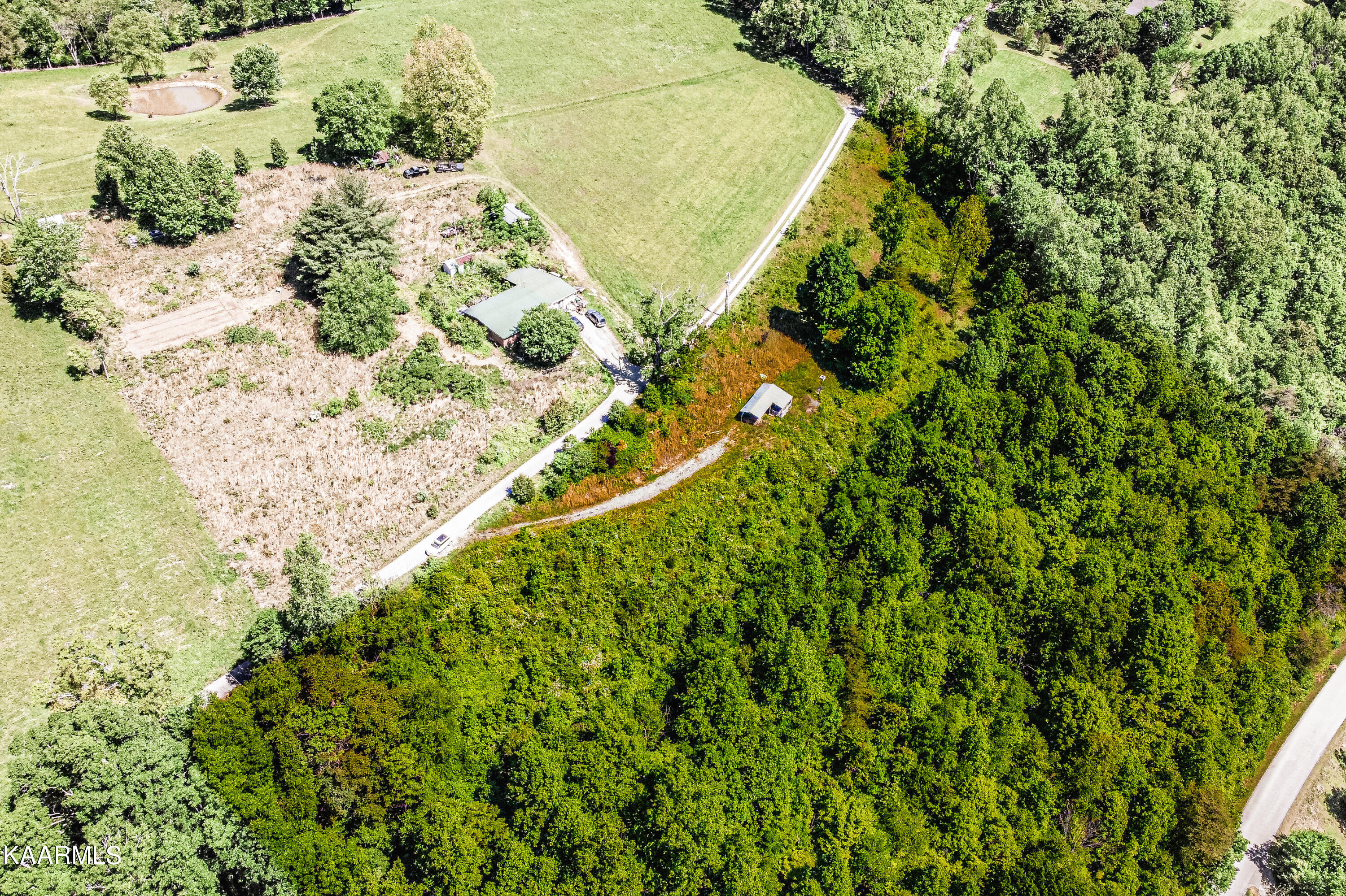 Lynn Lane, LaFollette