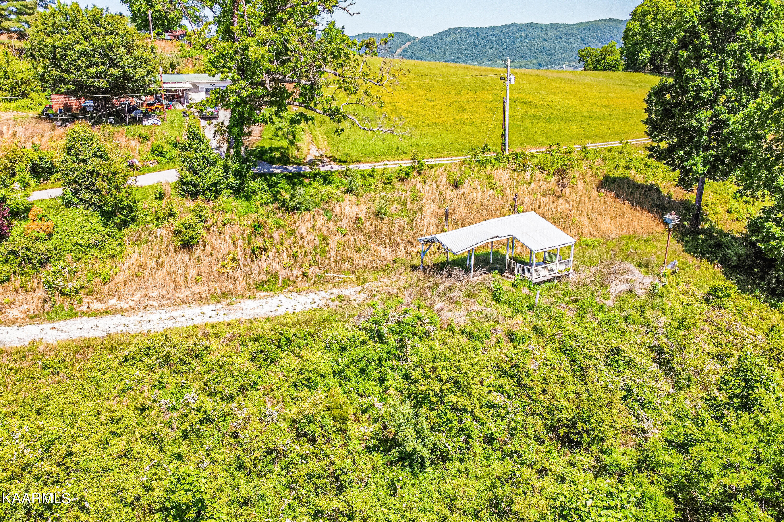 Lynn Lane, LaFollette