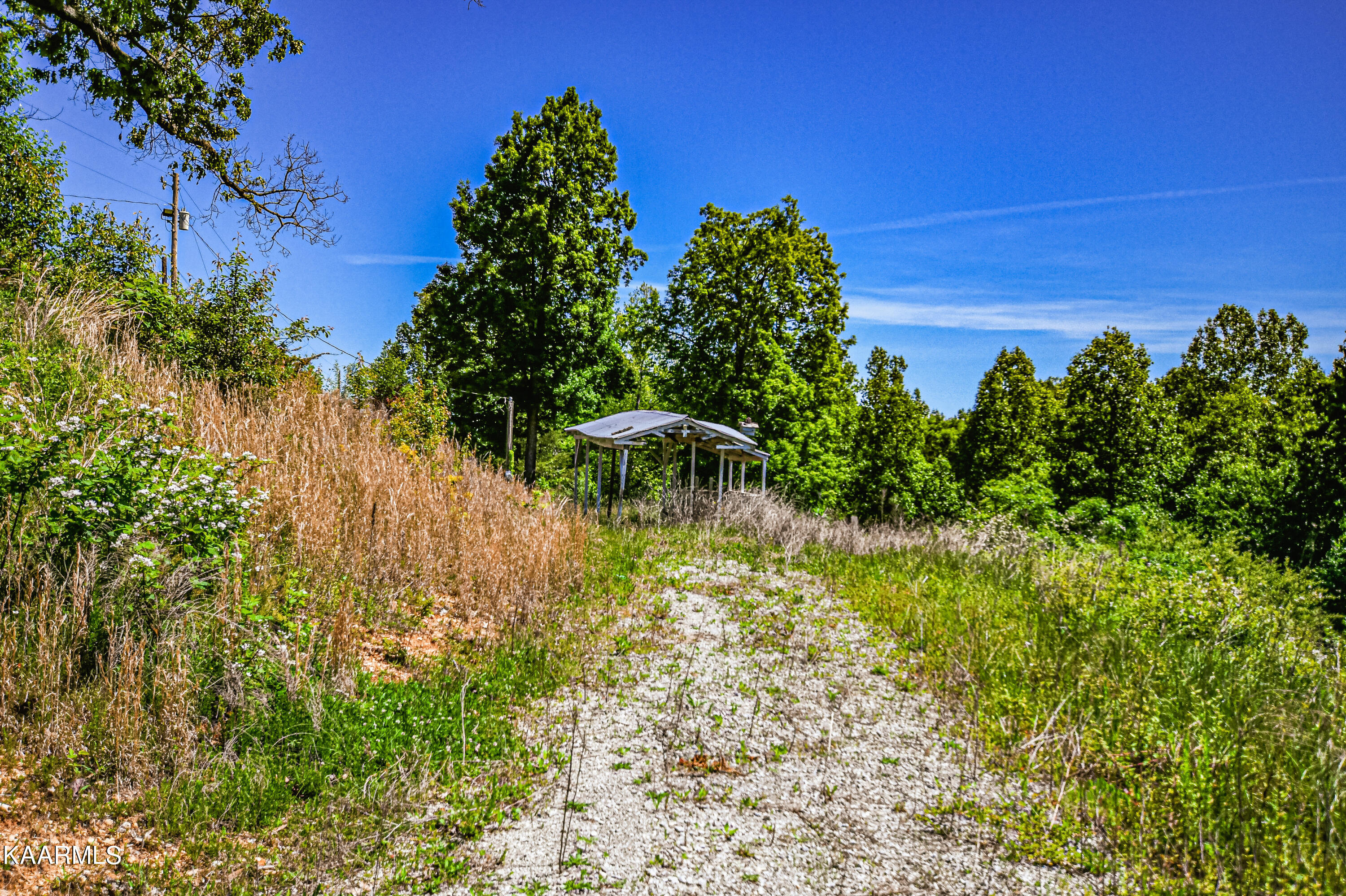 Lynn Lane, LaFollette