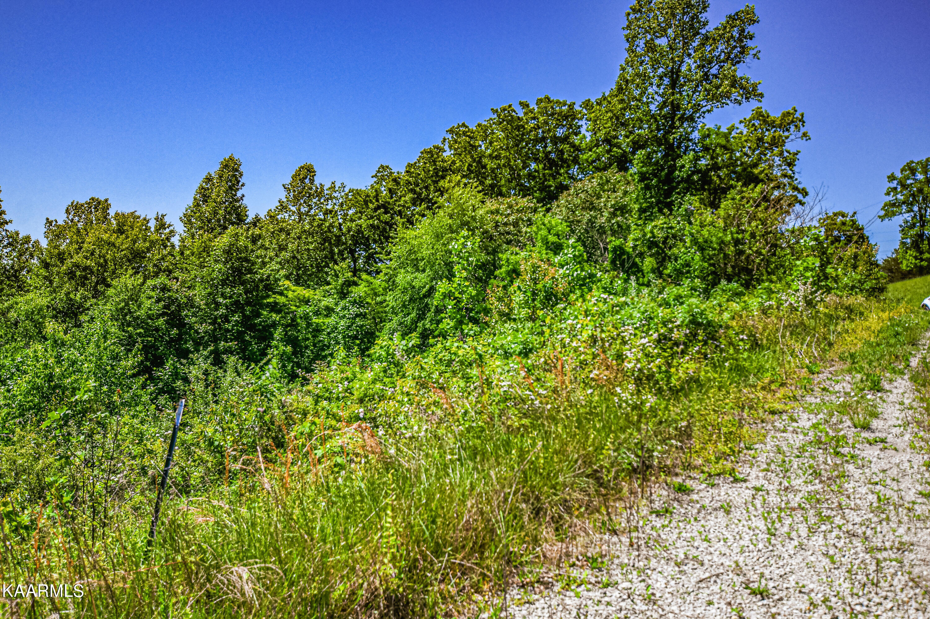 Lynn Lane, LaFollette