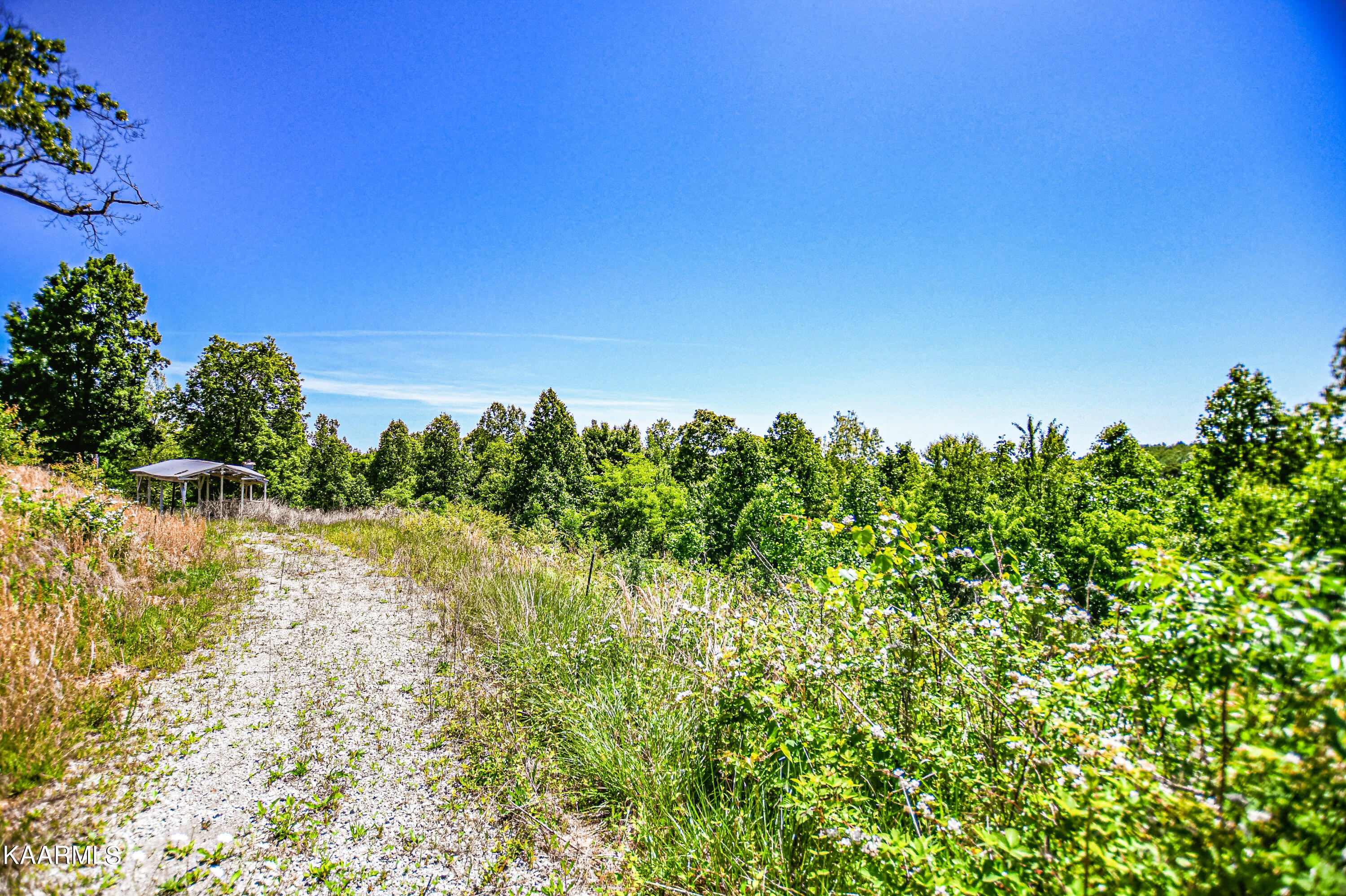 Lynn Lane, LaFollette